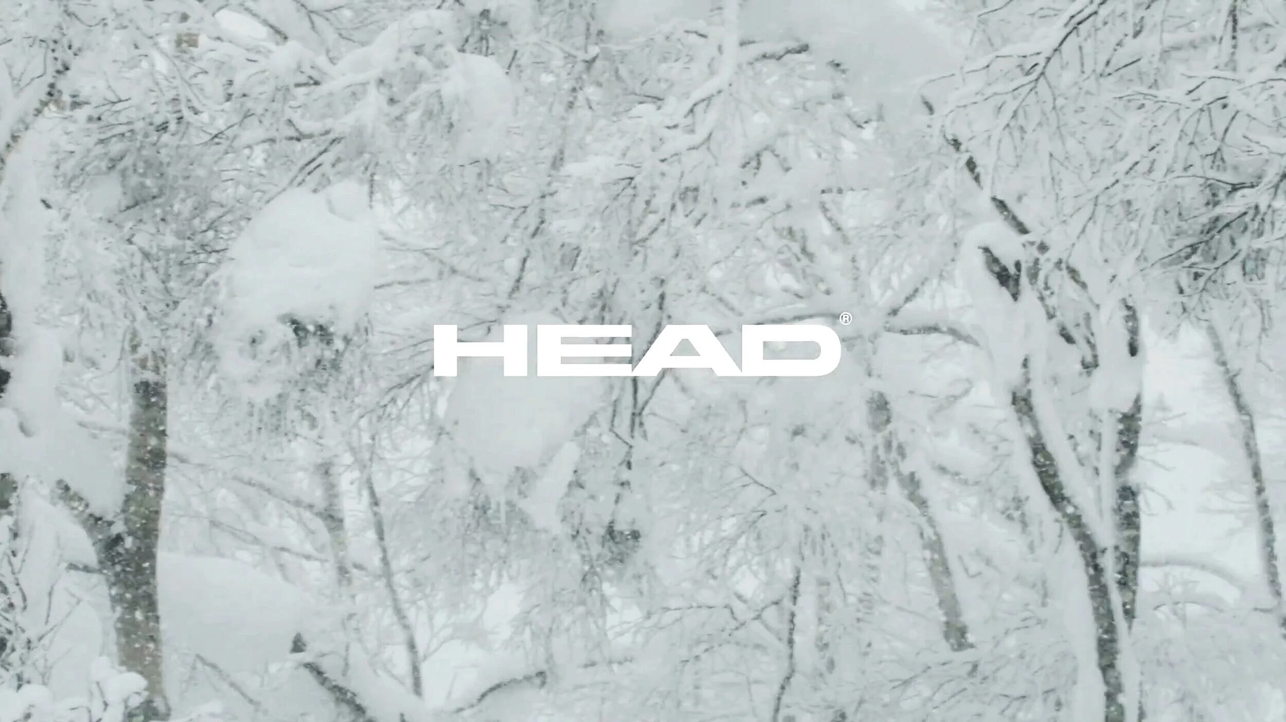 HEAD - 'Shinrin Yoku' - Music and Sound by Factor Eight