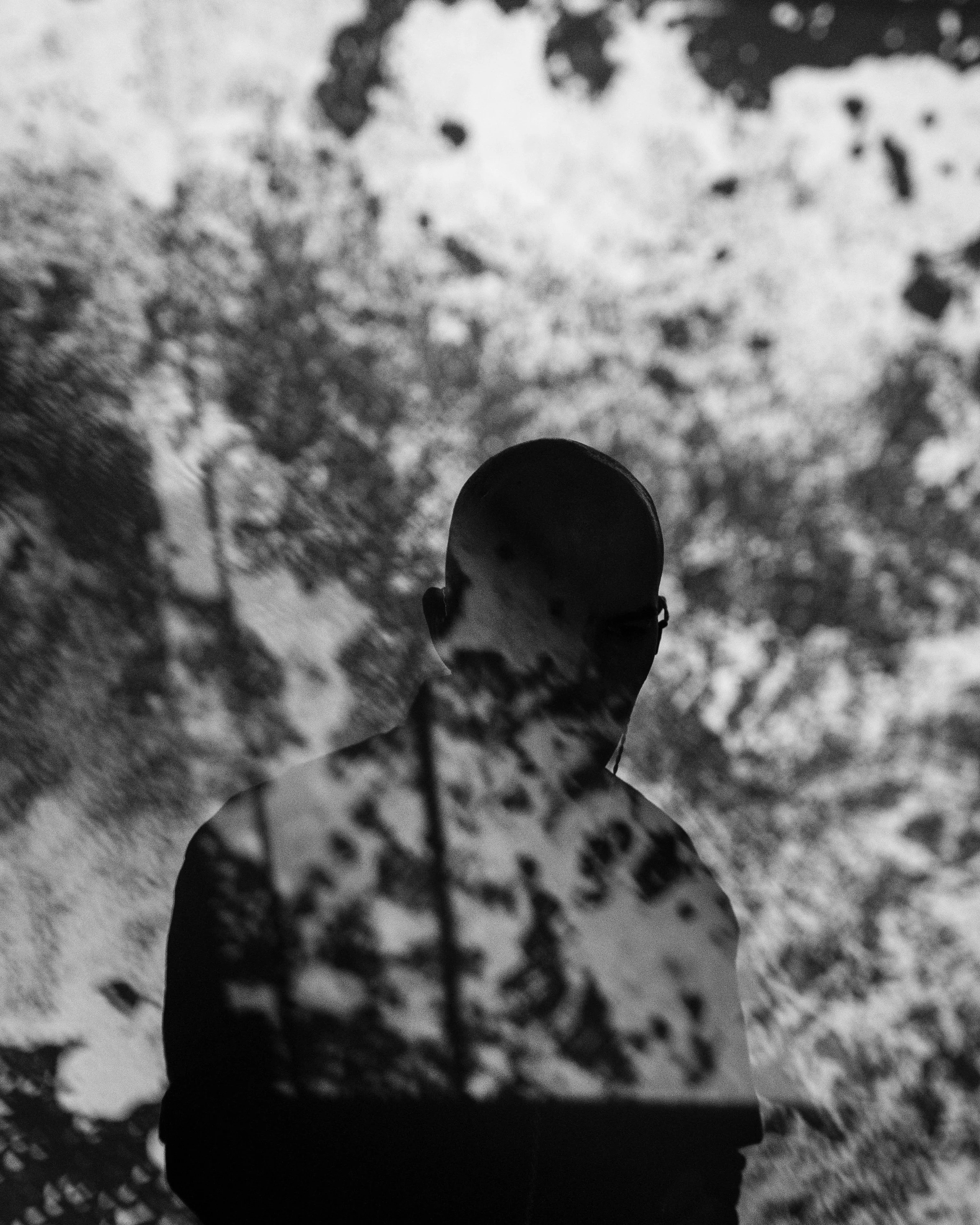 Silhouette of a person looking at a projected or reflected image of trees and leaves in black and white.