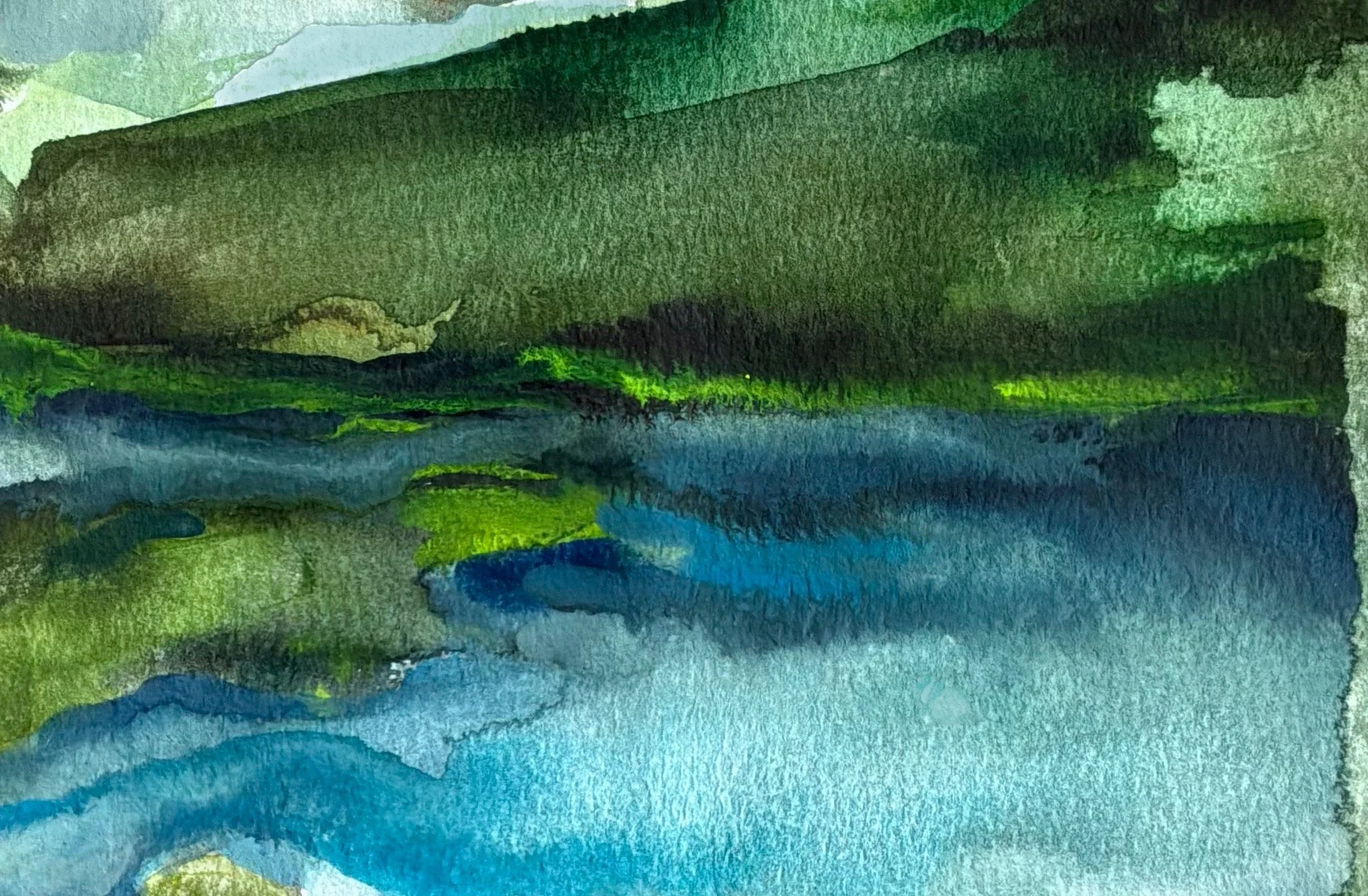 BV CO 2026 4x6 - buena buena