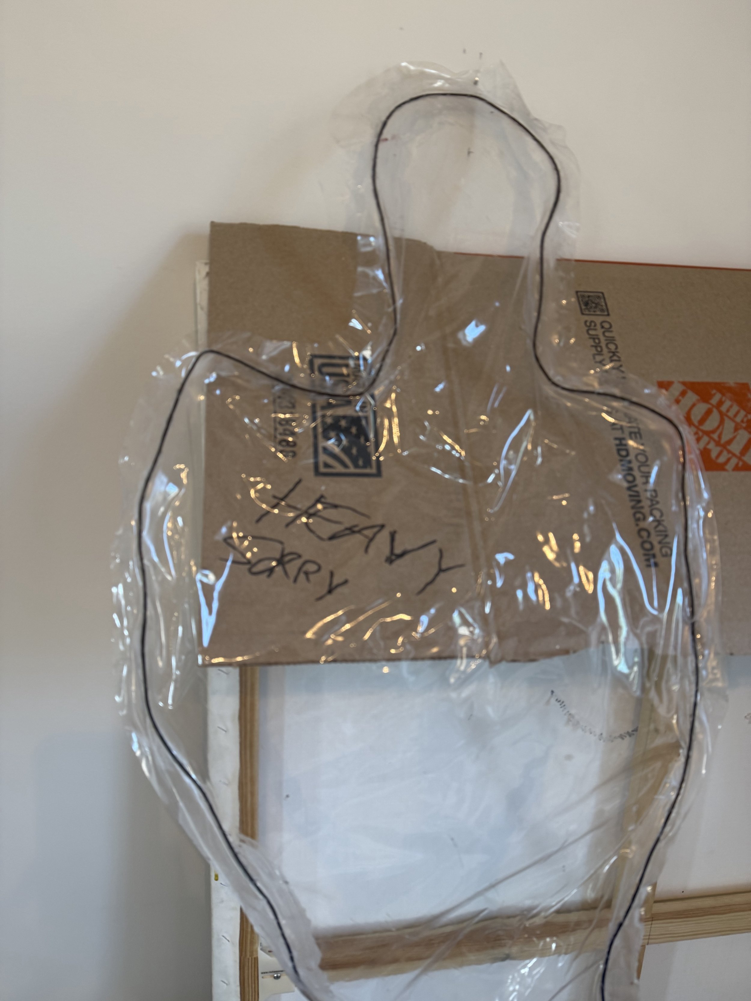 Clear plastic bag with black outline on a cardboard box, with a wooden stick behind it, against a beige wall.