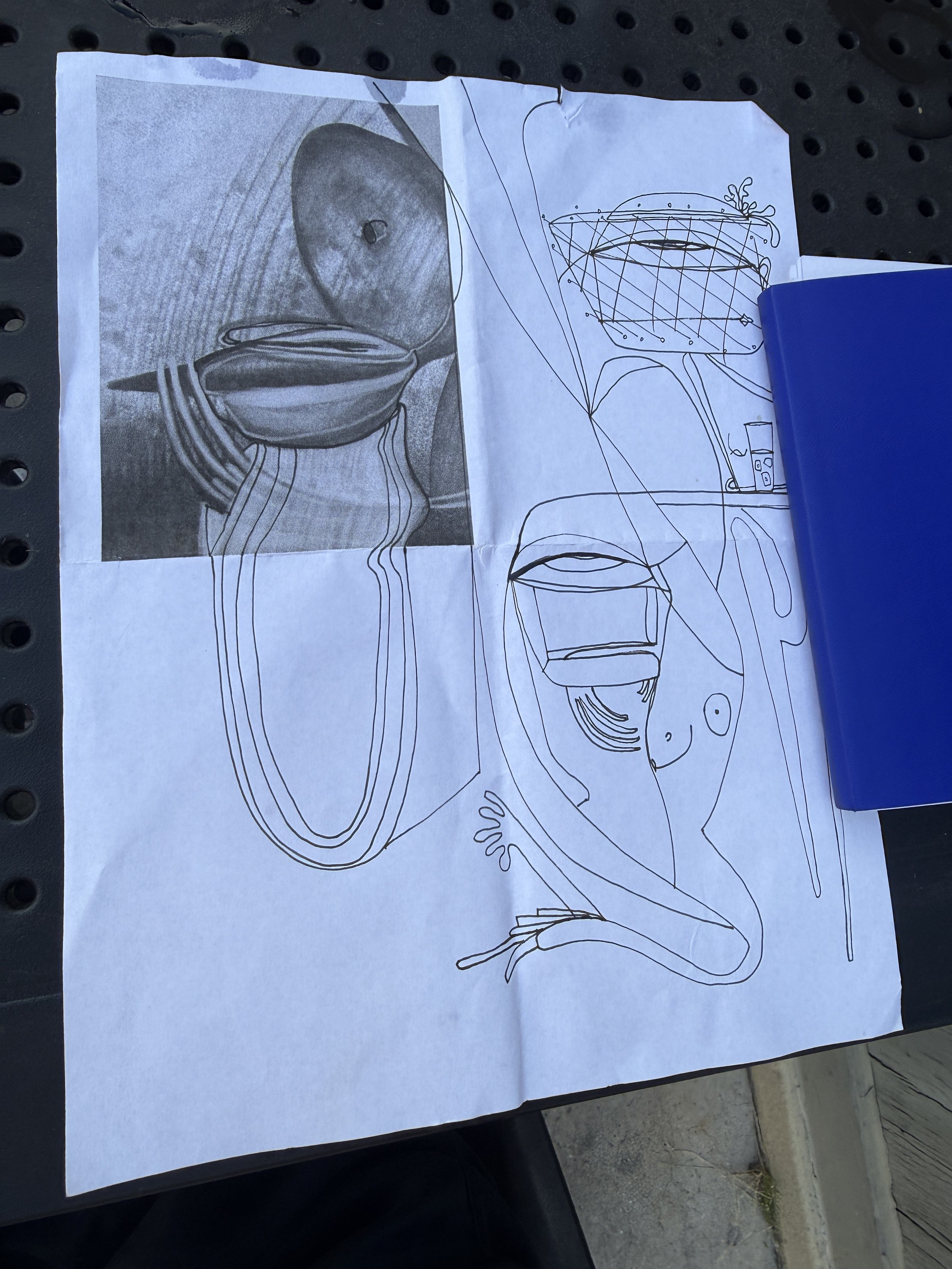 A piece of paper with a photographic image of a seashell on the left side and a line drawing of a seashell on the right side, placed on a perforated black surface.