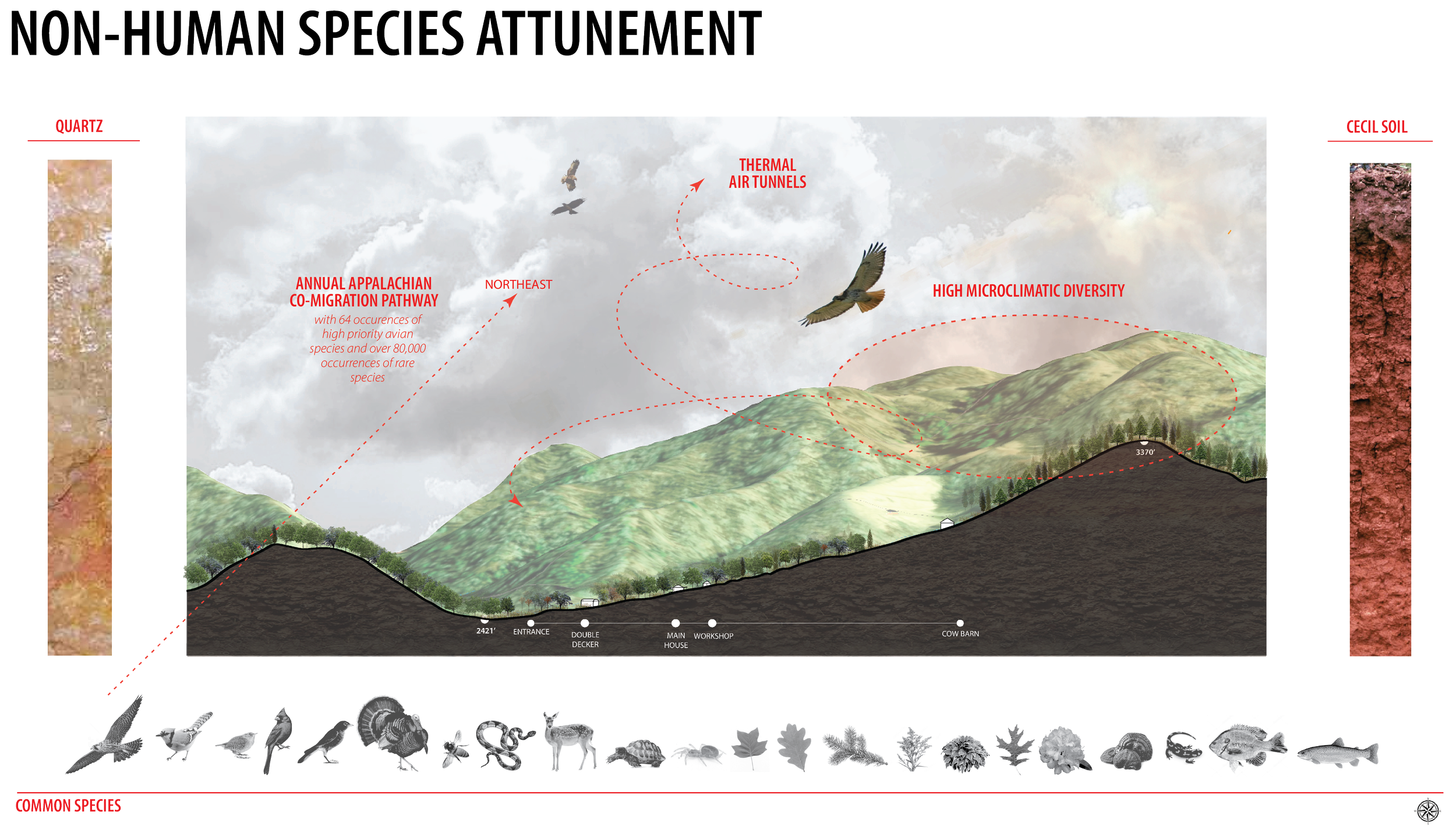 Site Section_Species.png