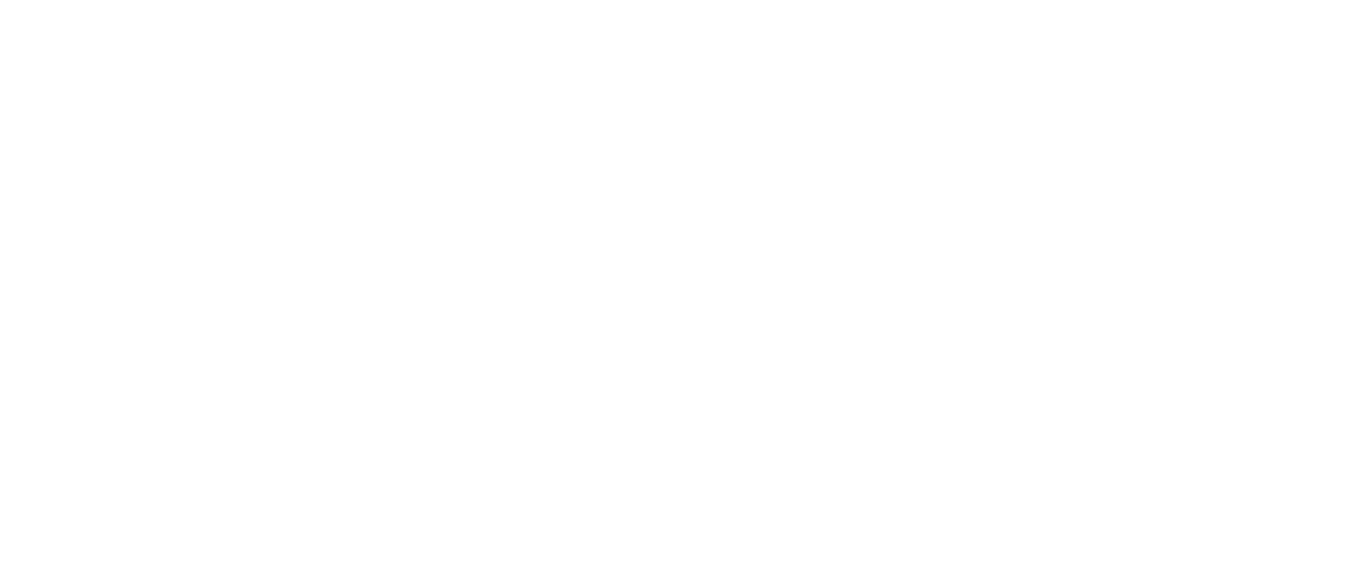 Happy Paws Boston