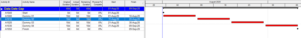 Example Primavera P6 Schedule Layout