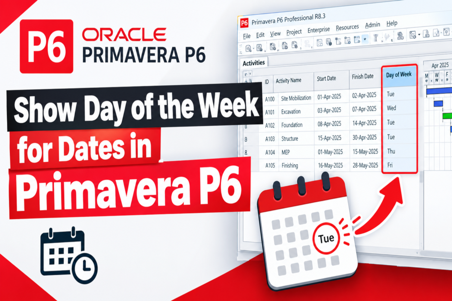 How to Display the Day of the Week for Dates in Primavera P6