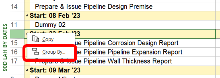 Microsoft Project Lookahead Schedule: Group Tasks by Dates