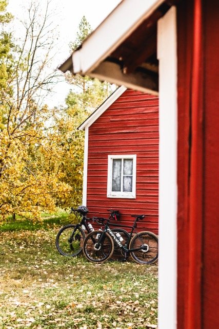 Two bicycles leaning against a red wooden building in an outdoor setting with trees and fallen leaves.