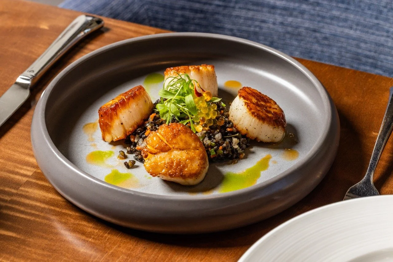 Seared scallops served on a gray plate with black Lentils, garnished with microgreens and drizzled with green oil.