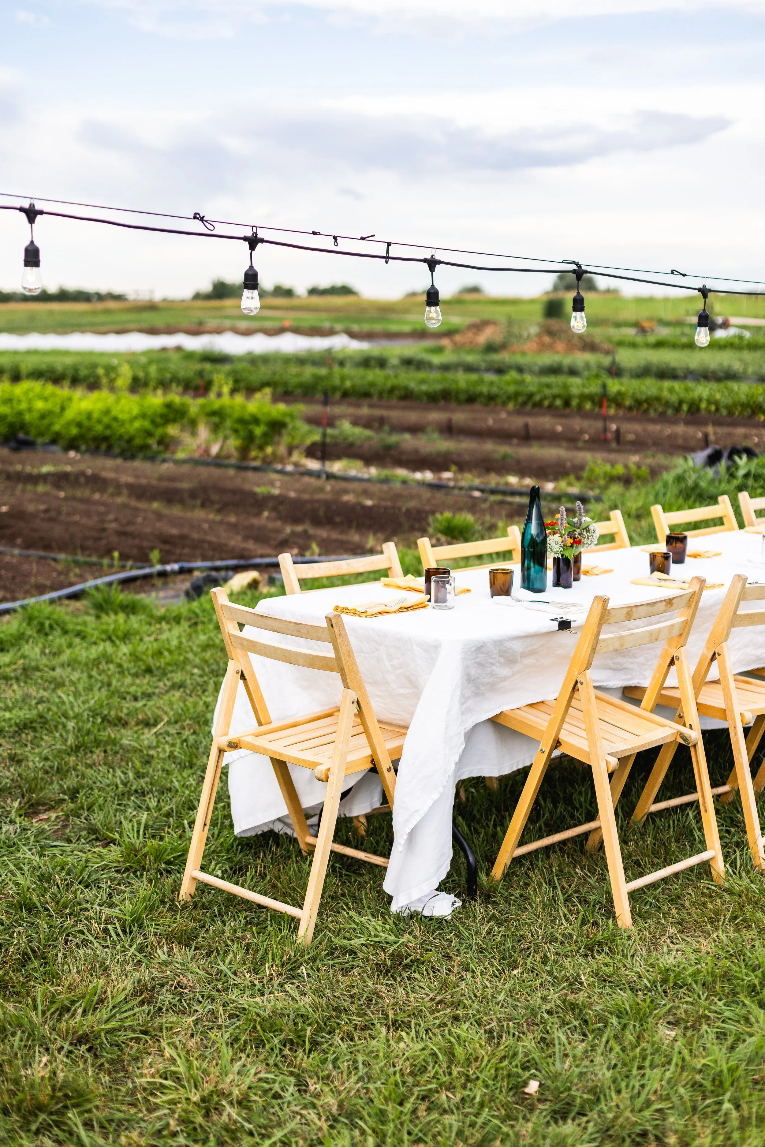 Outdoor dining table with wooden chairs, a white tablecloth, and tableware set up on a grassy field near farm fields, with string lights overhead and cloudy sky.