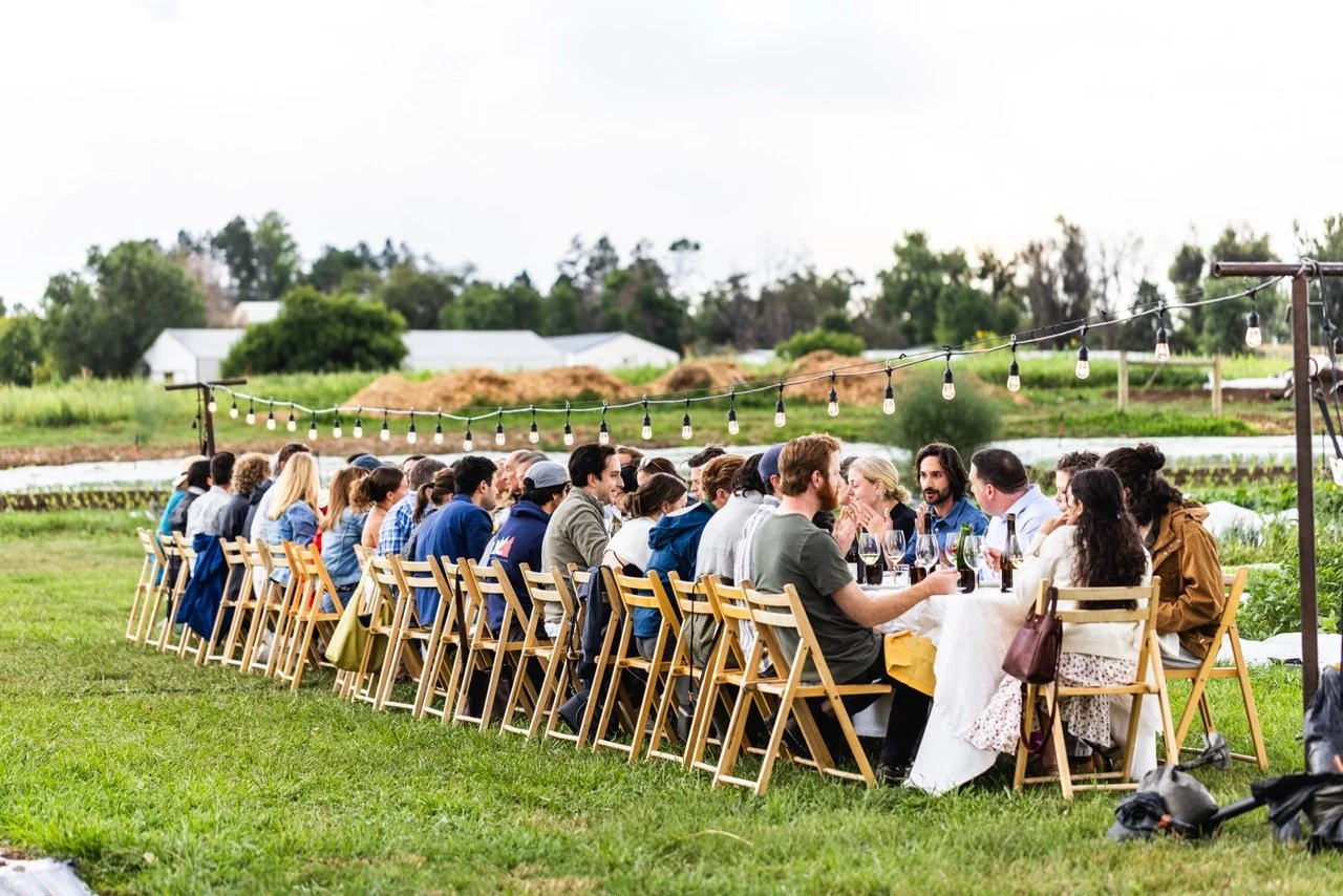 Long outdoor dinner table with about 30 people seated, festive string lights overhead, set in a lush green open field with farms and trees in the background.