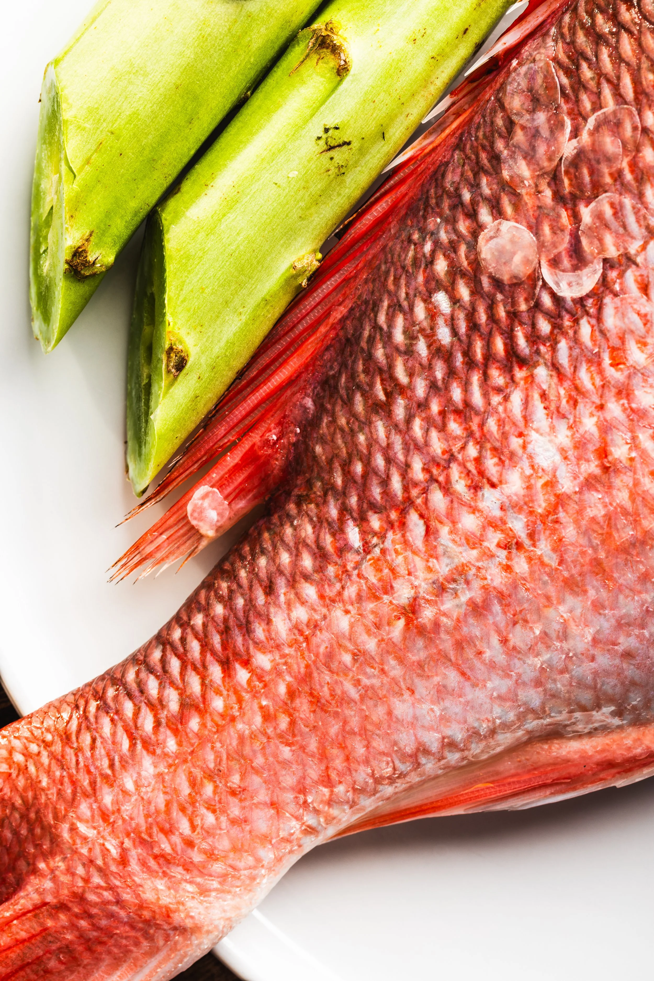 Fresh red fish with scales and tail next to green plantains on a white dish