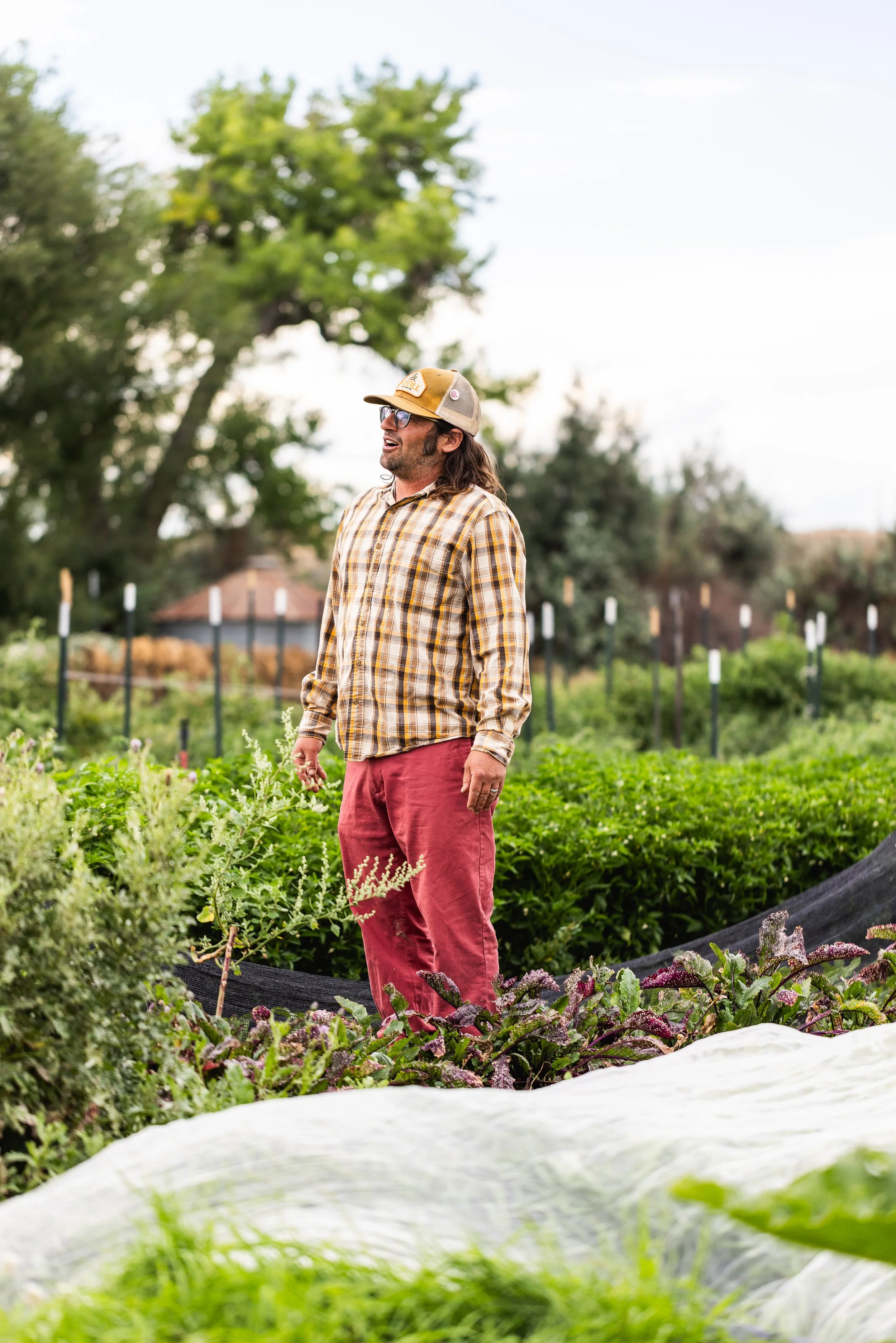 A man with long hair, beard, wearing glasses, a yellow and gray trucker hat, a plaid shirt, and red pants, standing among green plants and vegetables on an outdoor farm or garden.