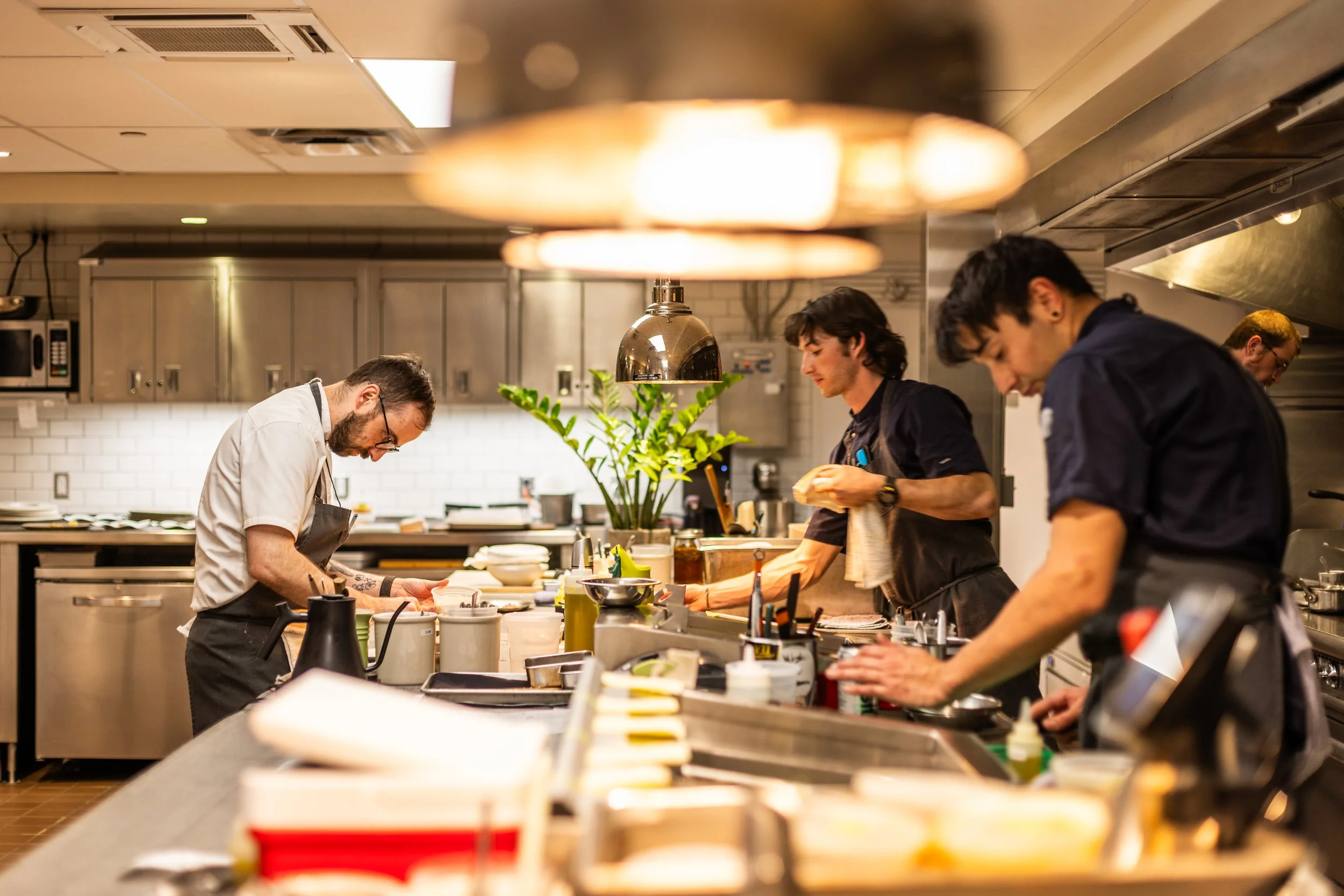 Four chefs preparing food in a professional kitchen, with stainless steel appliances and a large plant in the background.