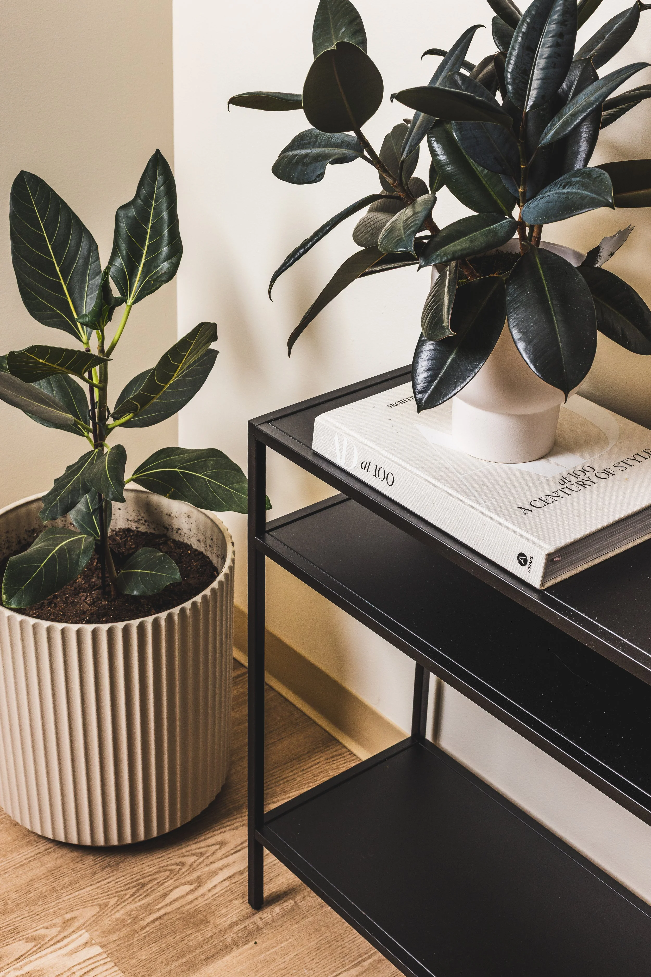 A potted plant with dark green leaves on a black metal side table, with a large book titled 'AT 100 A CENTURY OF STYLE' underneath the plant. The background walls are beige and white, with a light brown wooden floor.