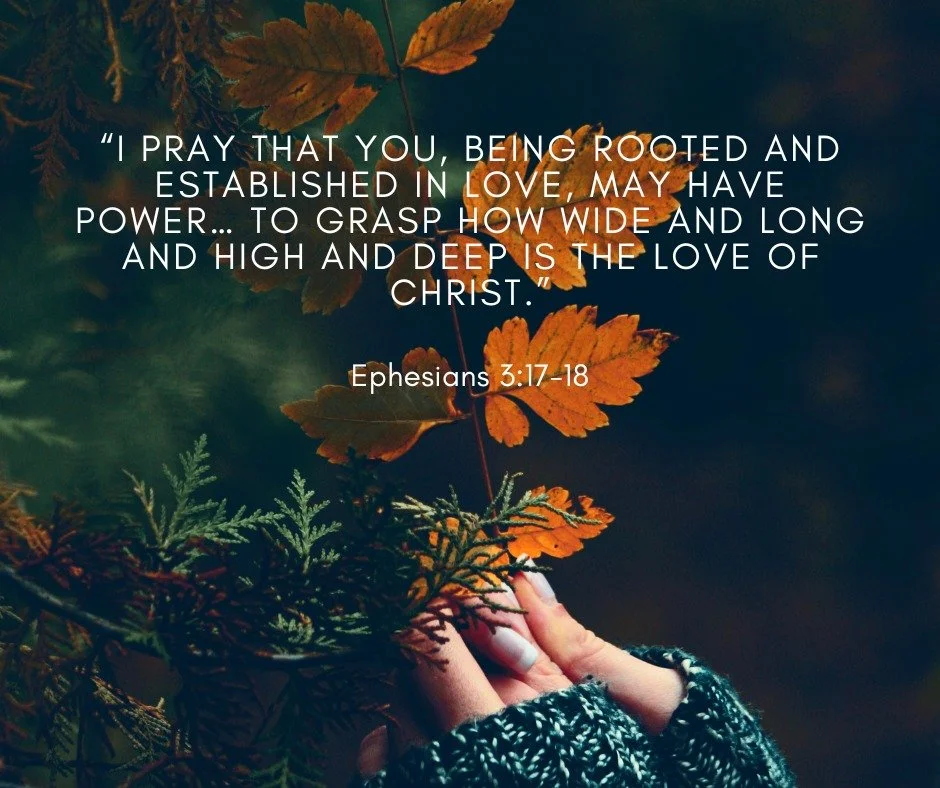 “I pray that you, being rooted and established in love, may have power… to grasp how wide and long and high and deep is the love of Christ.” - Ephesians 3:17-18