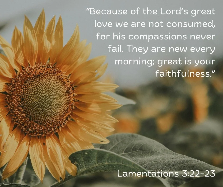 “Because of the Lord’s great love we are not consumed, for his compassions never fail. They are new every morning; great is your faithfulness.” - Lamentations 3:22-23
