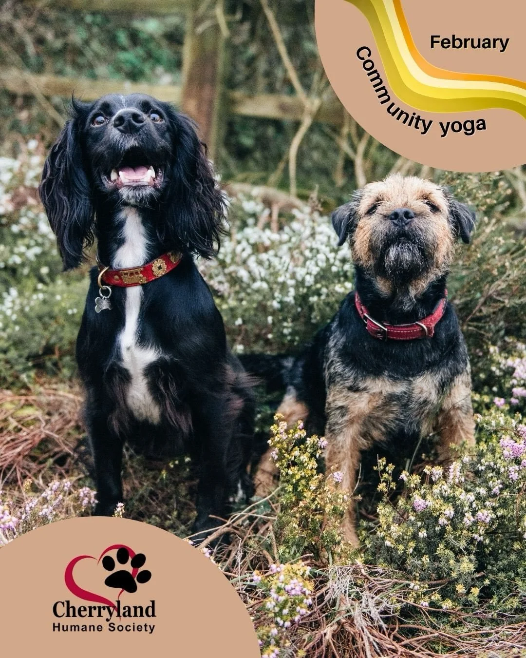 This month&rsquo;s local non-profit is a compassionate, community-rooted organization dedicated to protecting and caring for animals in need. We&rsquo;re proud to support Cherryland Humane Society and the incredible work they&rsquo;ve been doing sinc