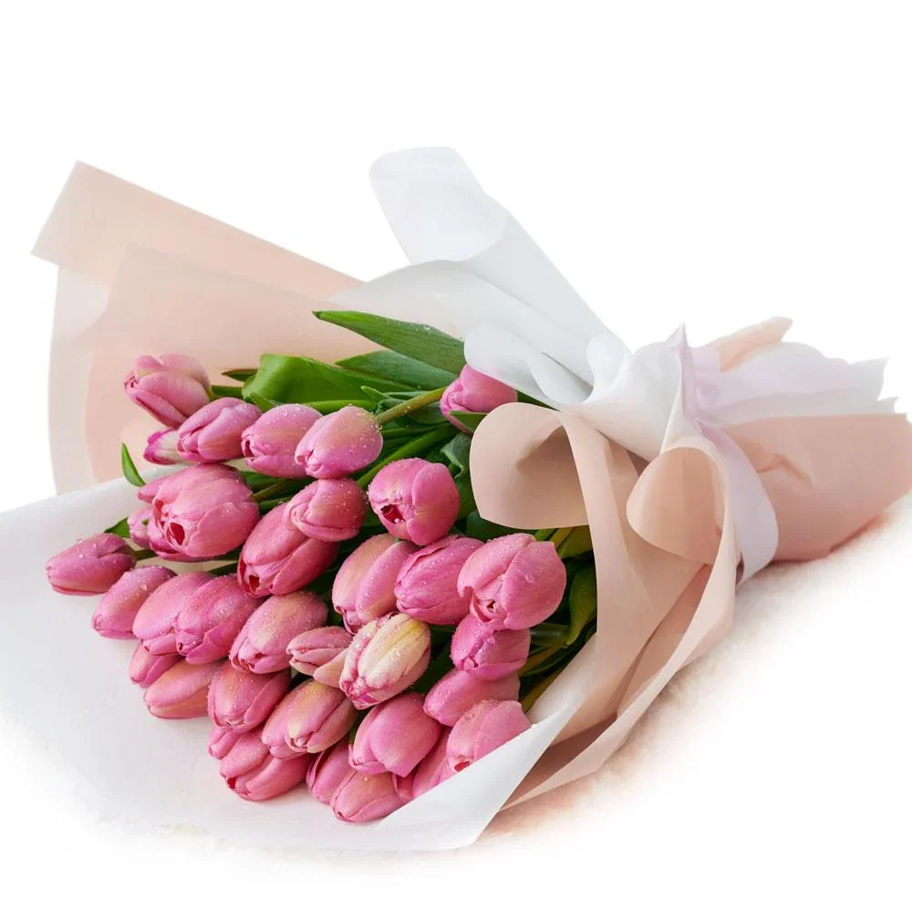 tulips.webp