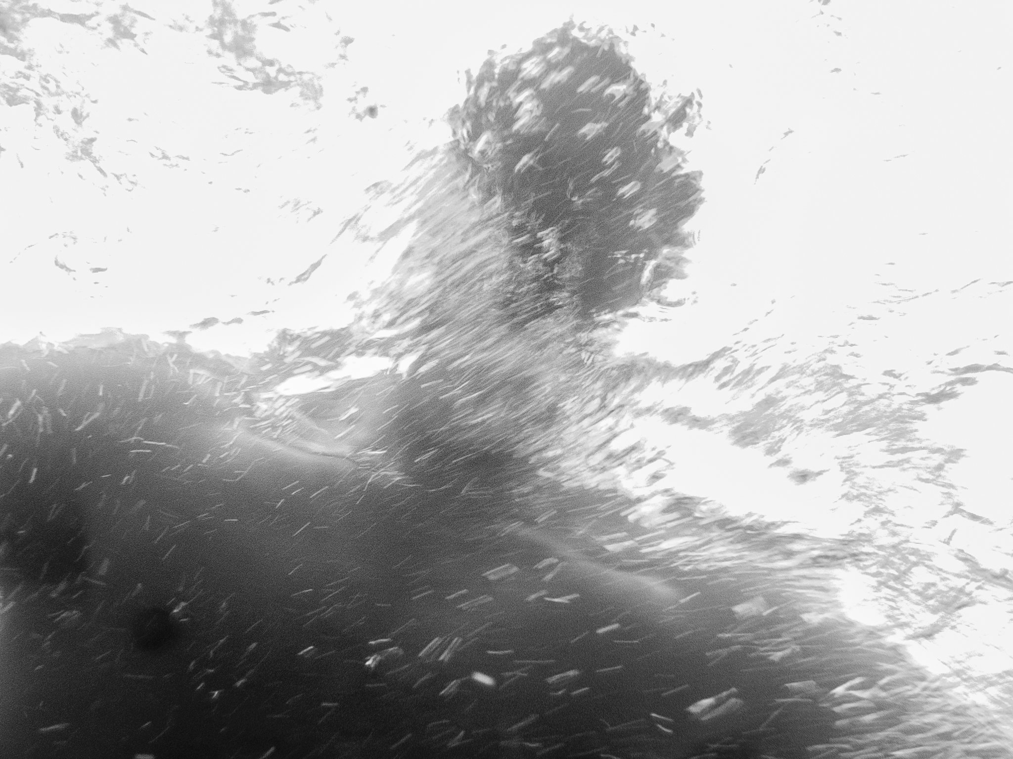 Jansen_Bruno_Underwater-Test-1_018.jpg