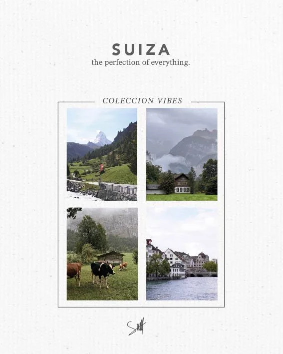 VENTAS ONLINE IMAGENES suiza_Mesa de trabajo 1 copia.jpg