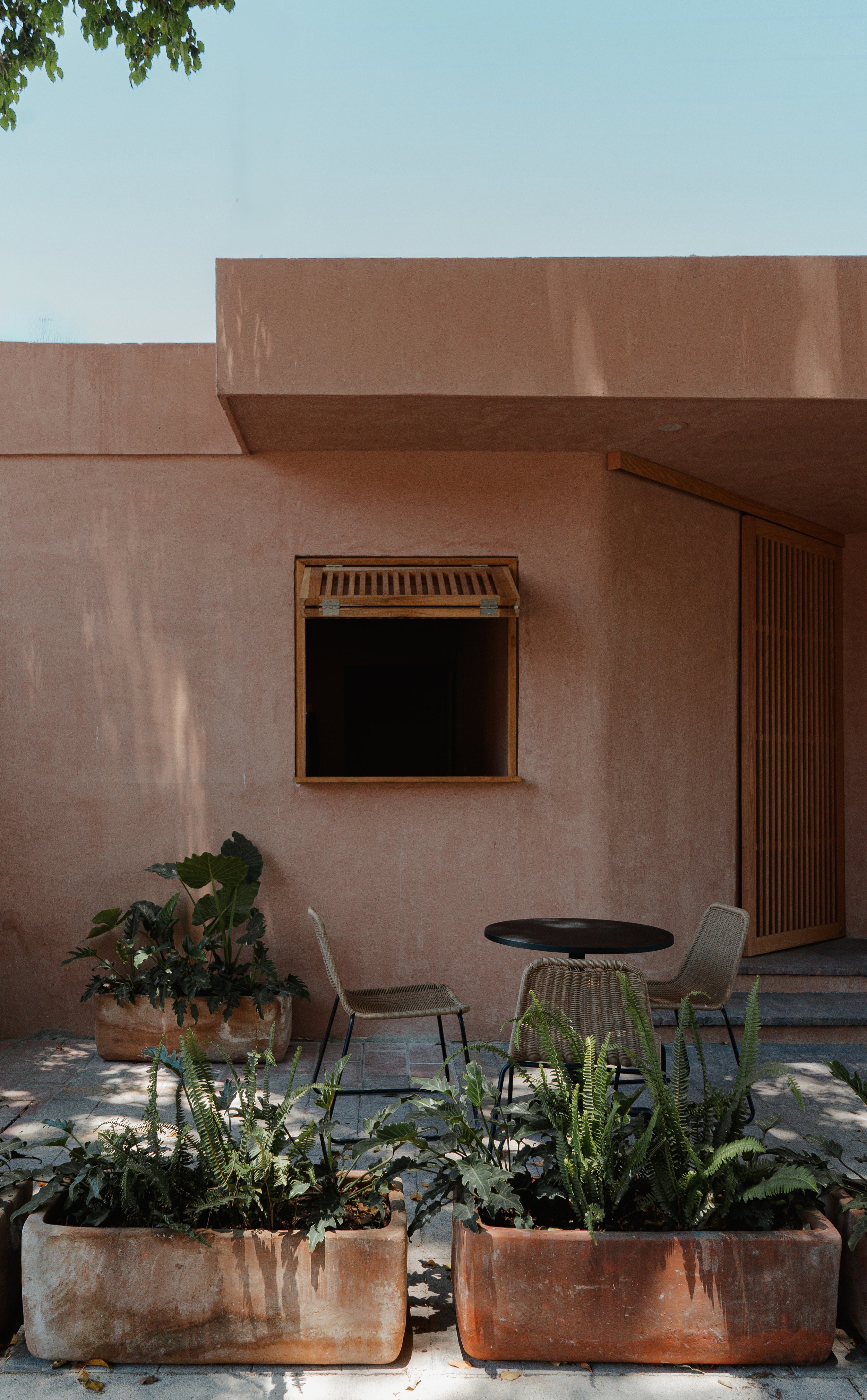 allum-3.jpg