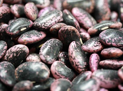 Plant Based Eating Tips by Dietitian Amy