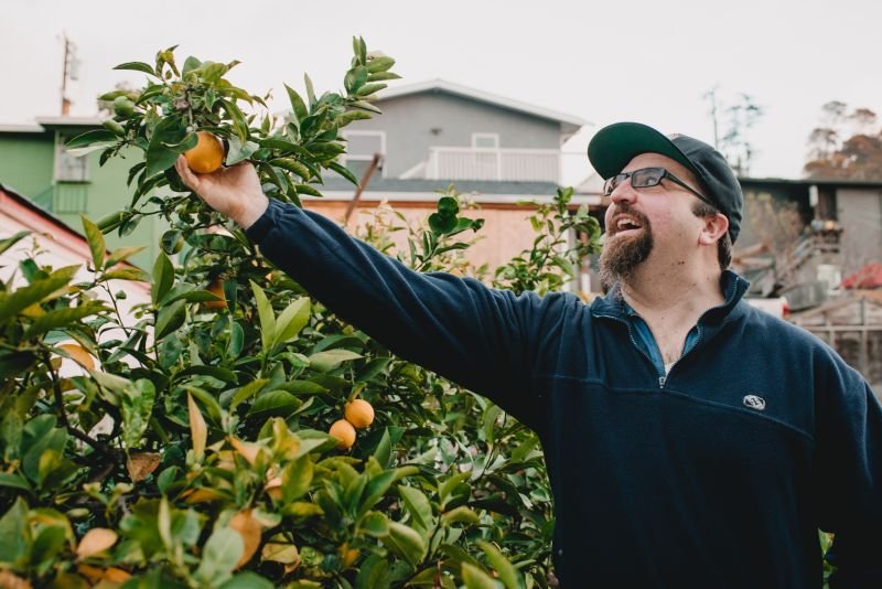 The Fruit that Surrounds Us