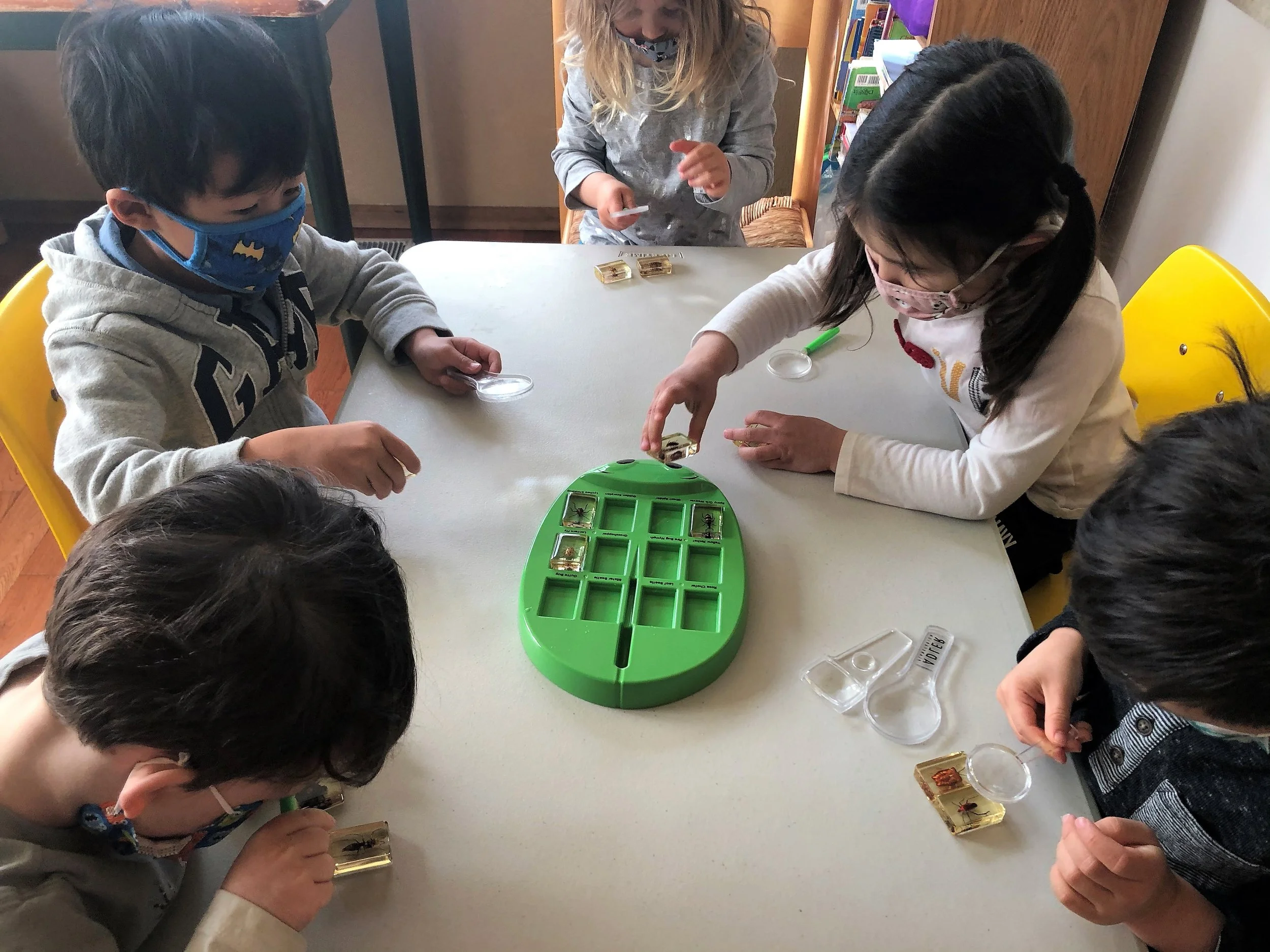 Indoor Science Bug Experiment .jpg