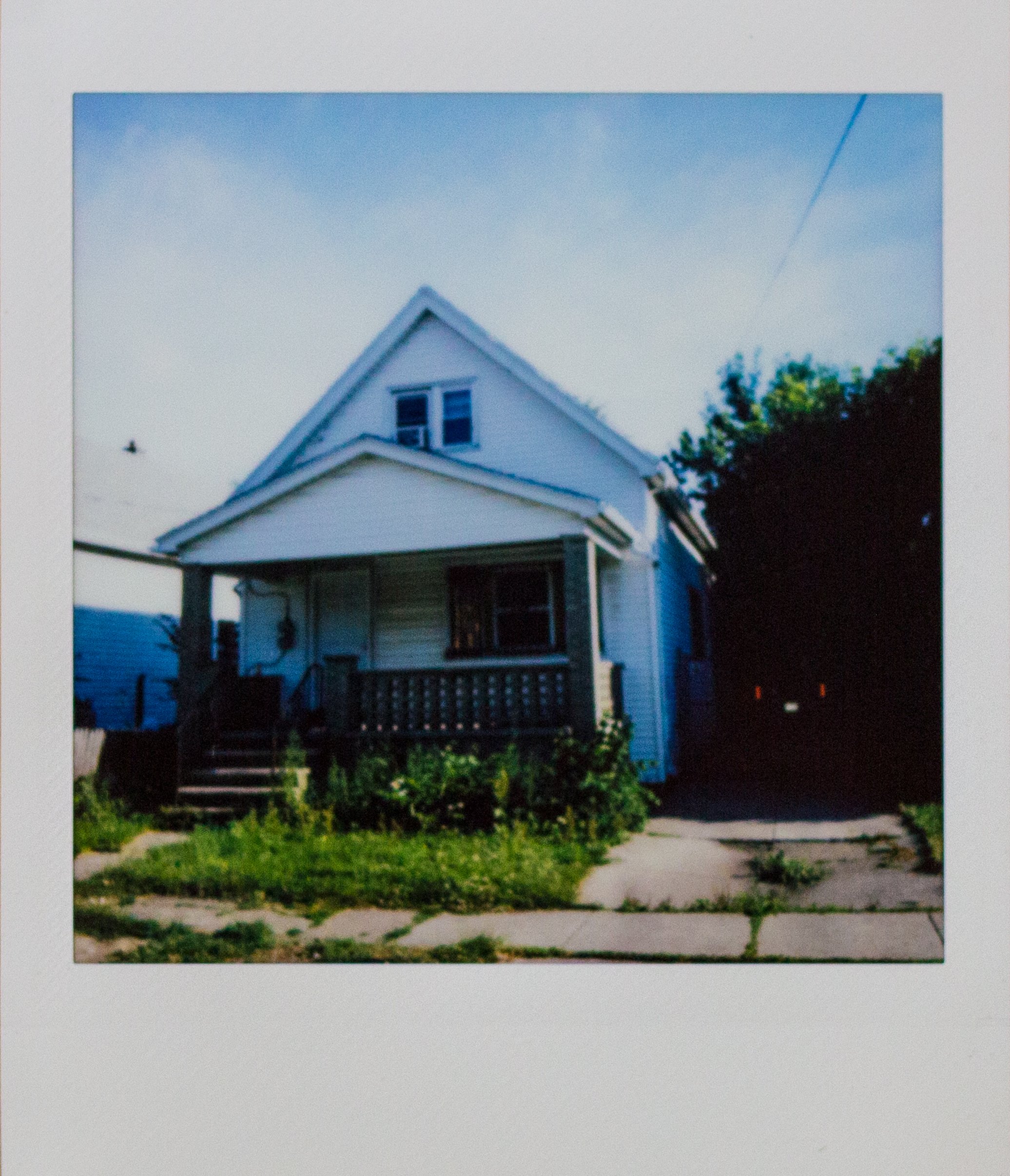 BUFFALO_FILM-18.jpg