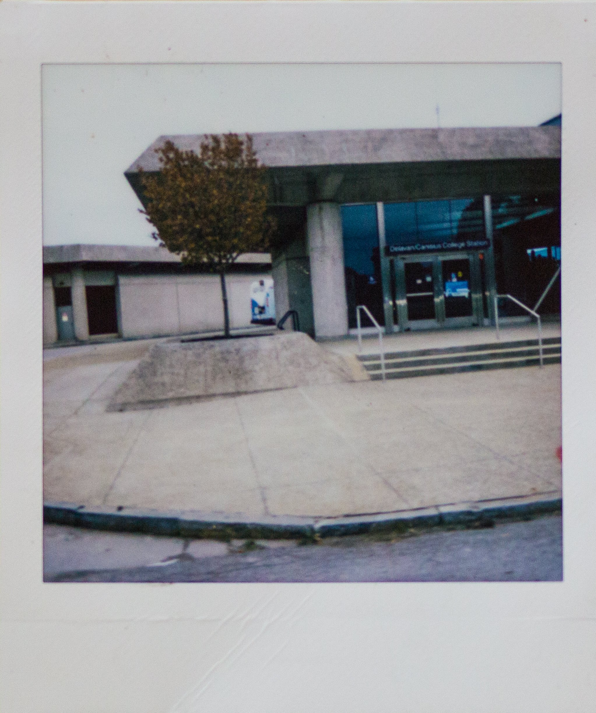 BUFFALO_FILM-2.jpg