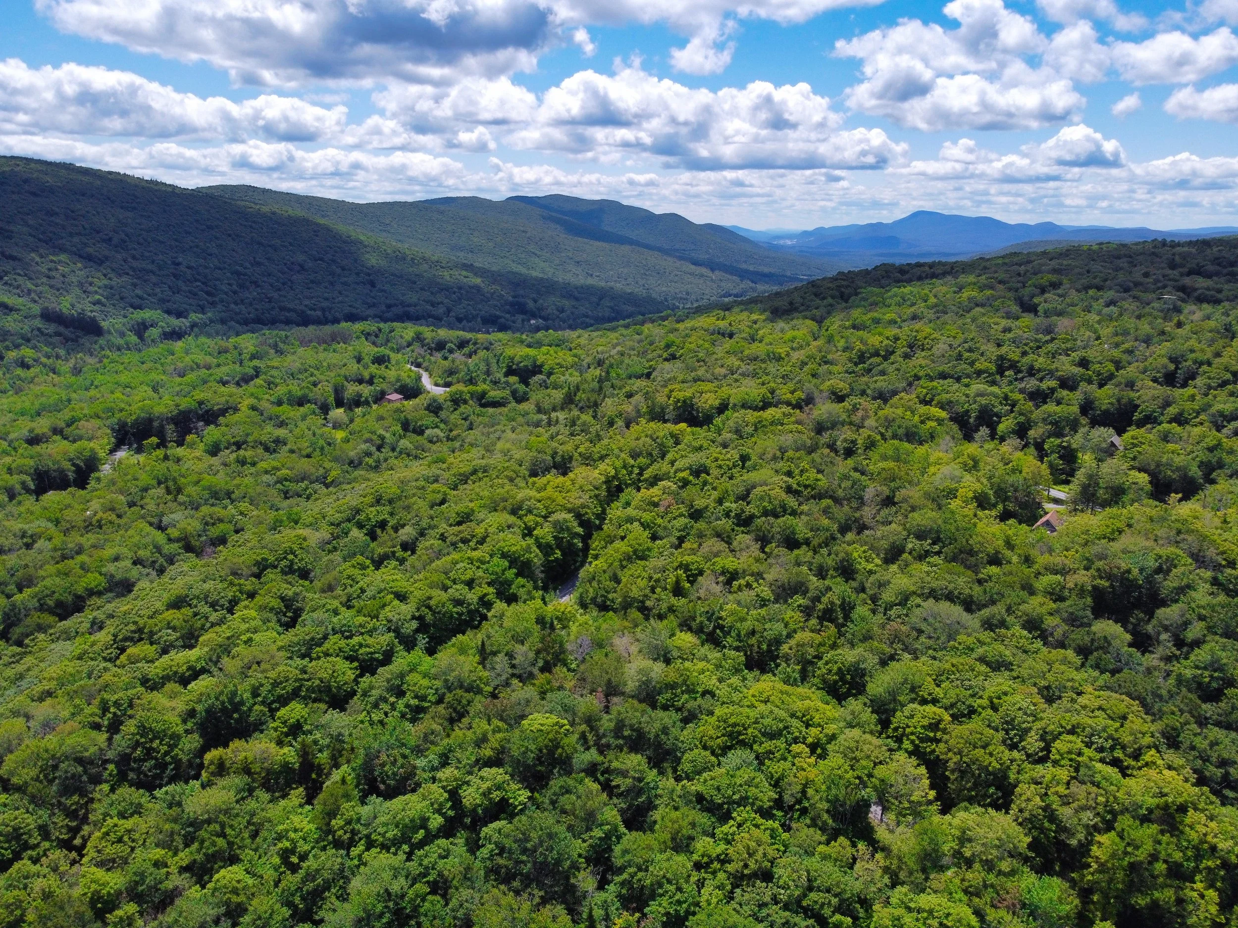 Alpenwald Lane - Readsboro, VT