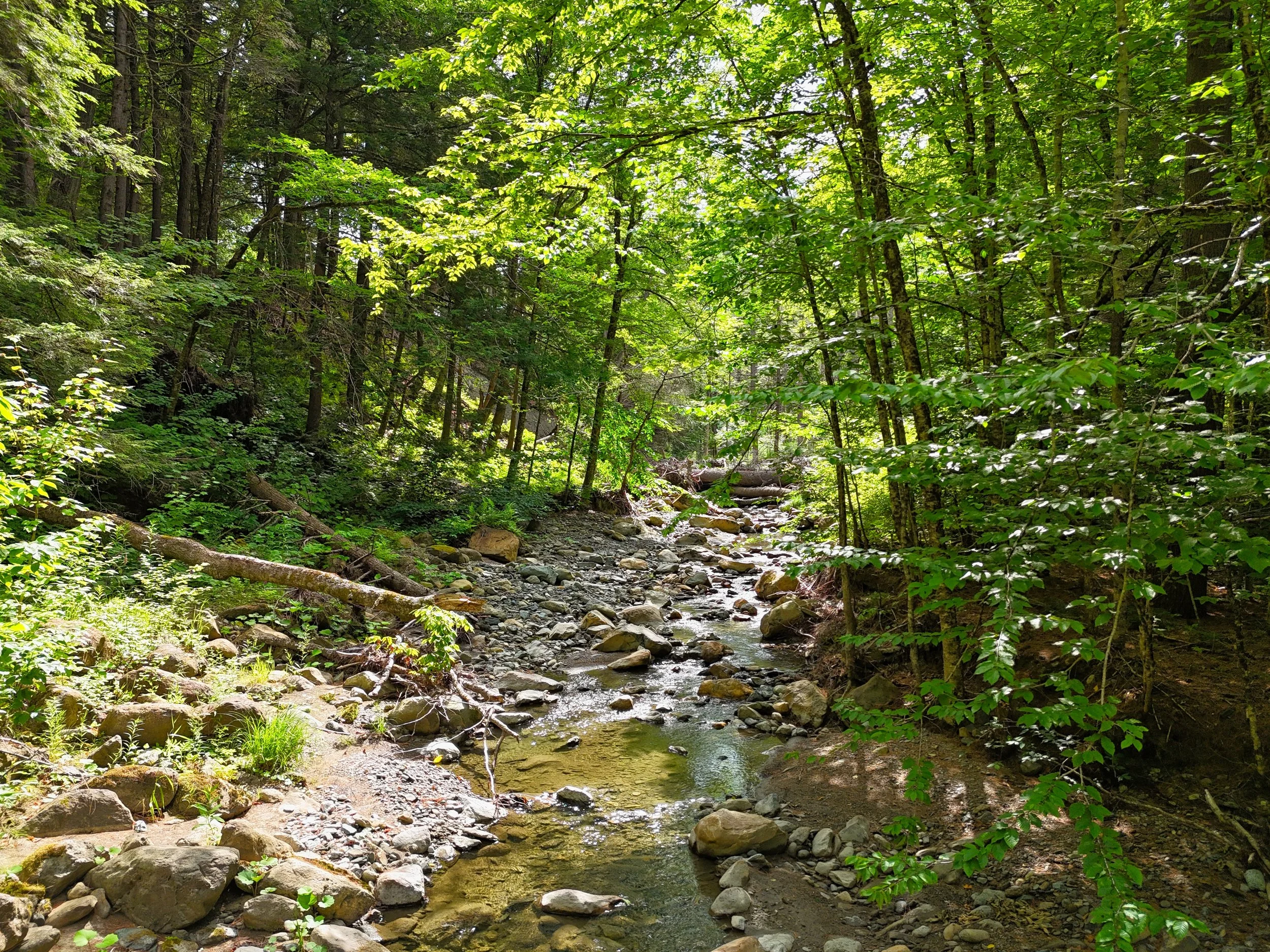 Hunter Brook Road - Newfane, VT