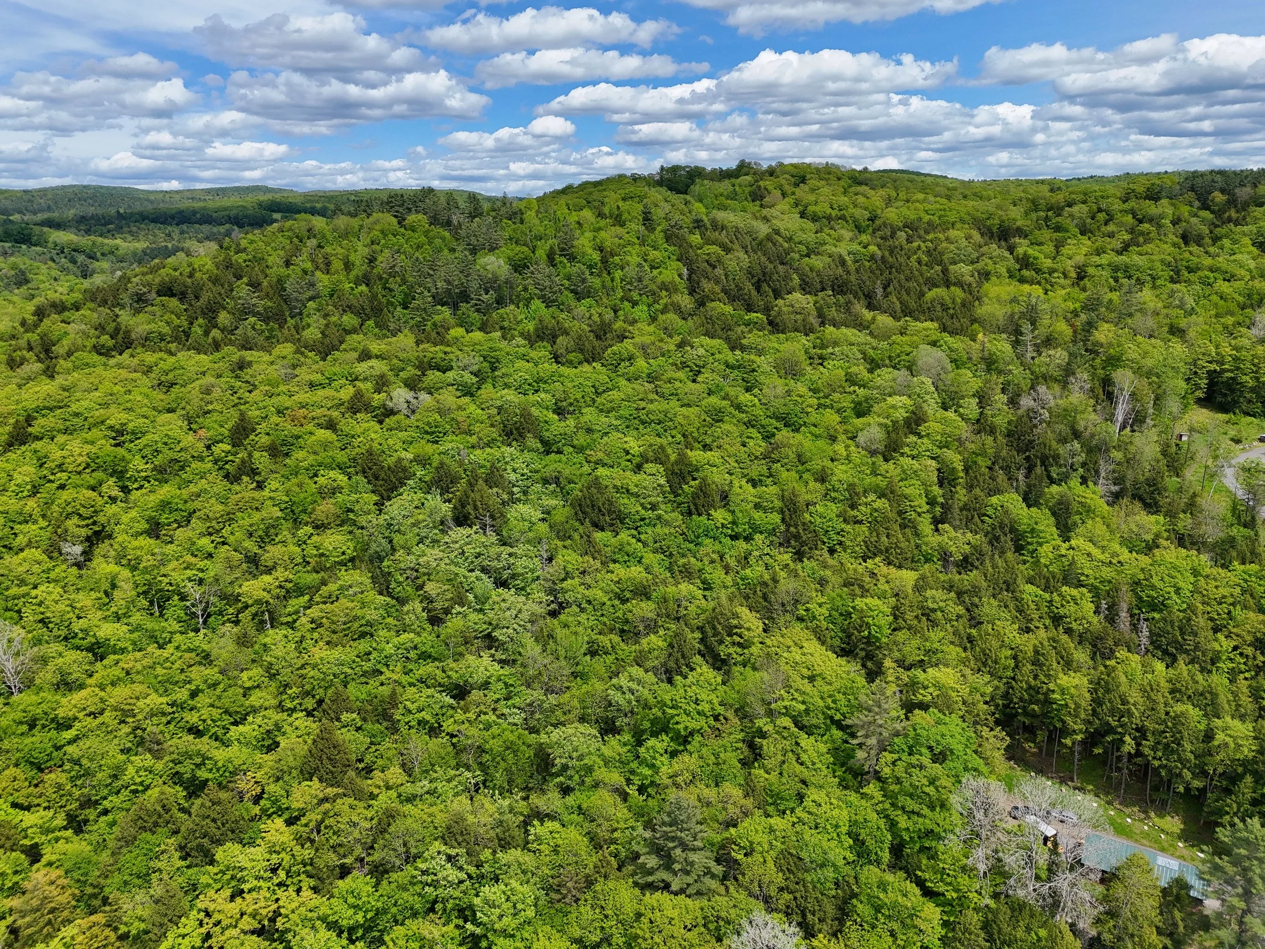 Kennedy Drive - Chelsea, VT