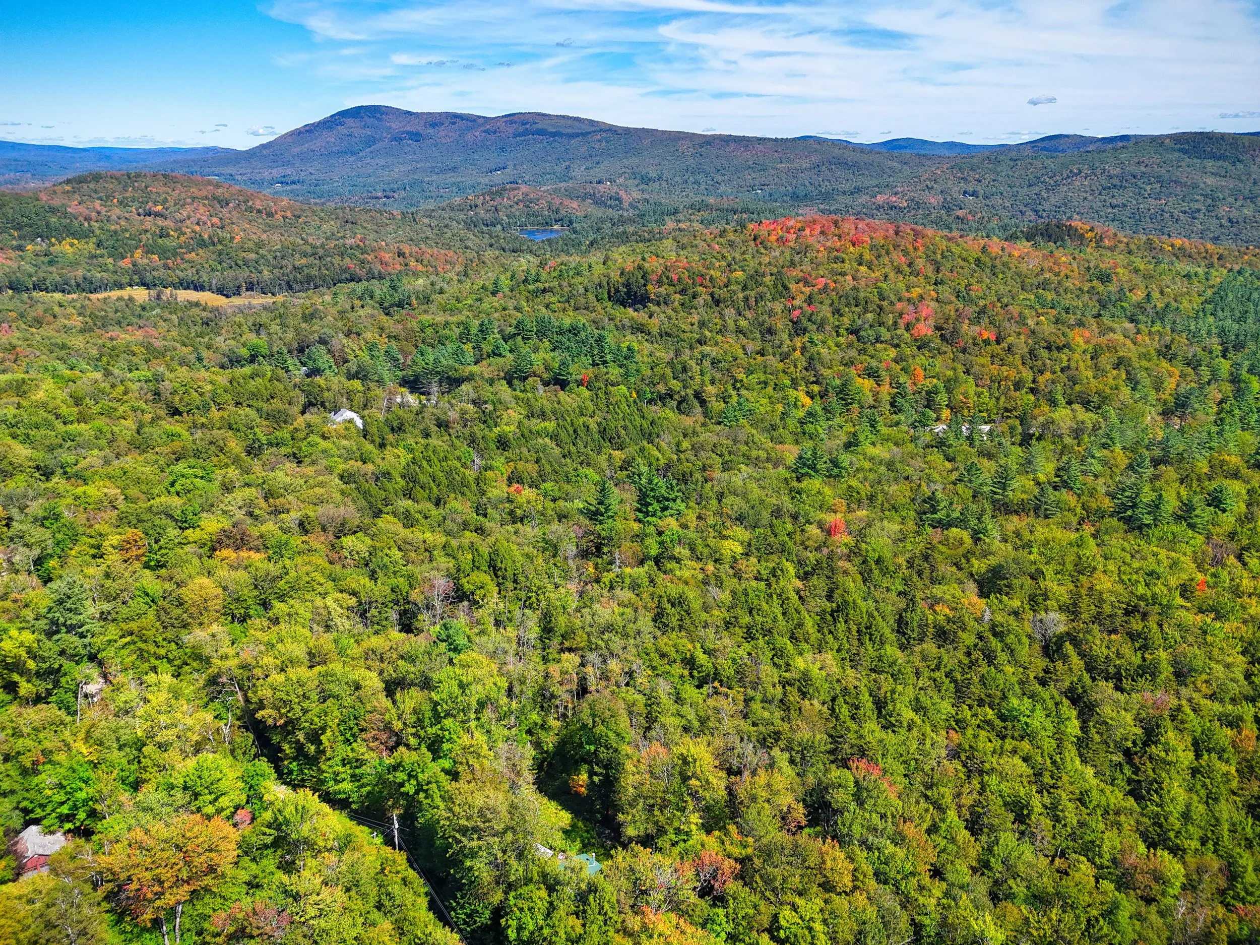 Bourbon Run Road - Jamaica, VT