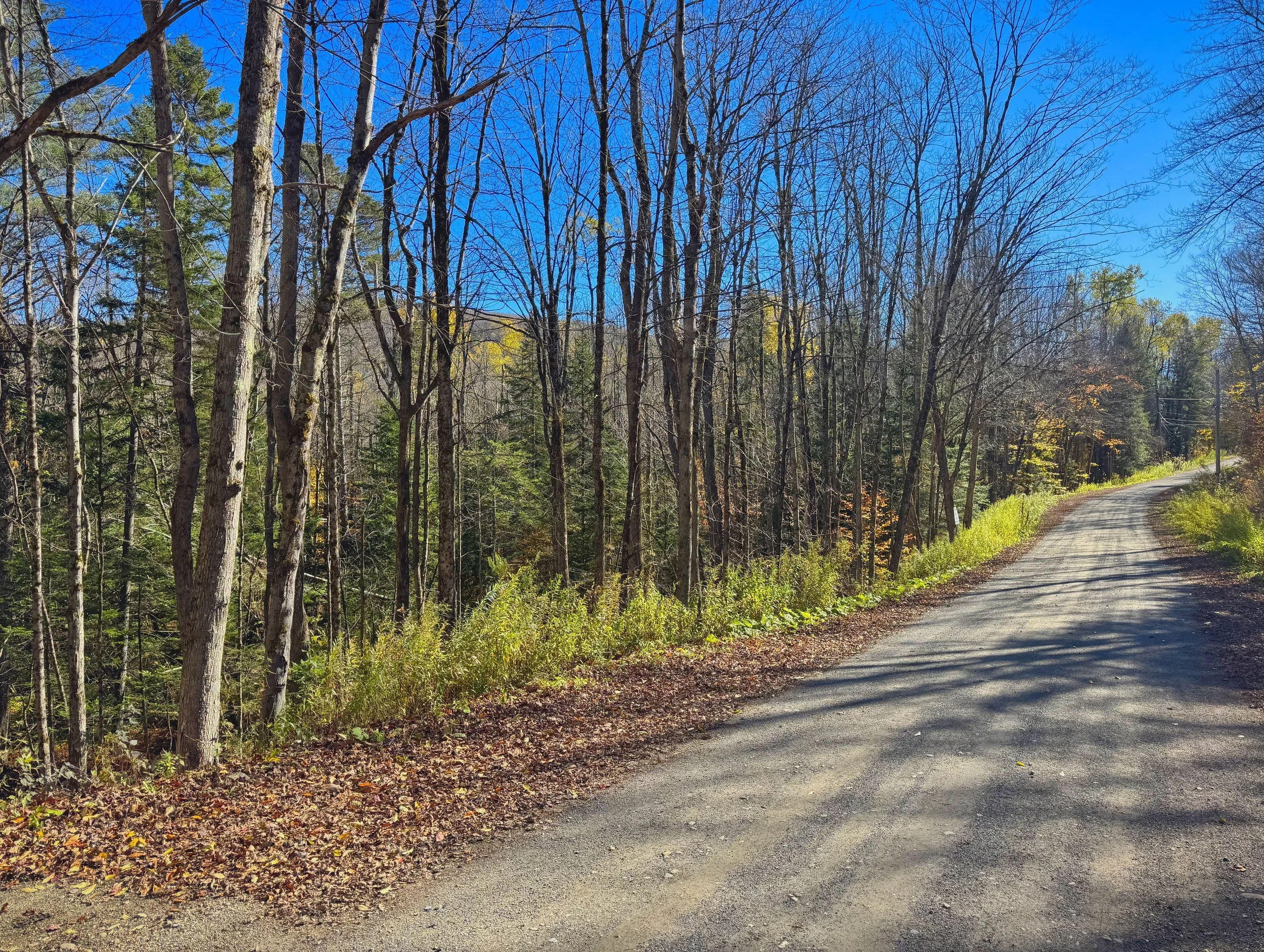 Still 2025-10-16 171913_1.6.2.jpeg