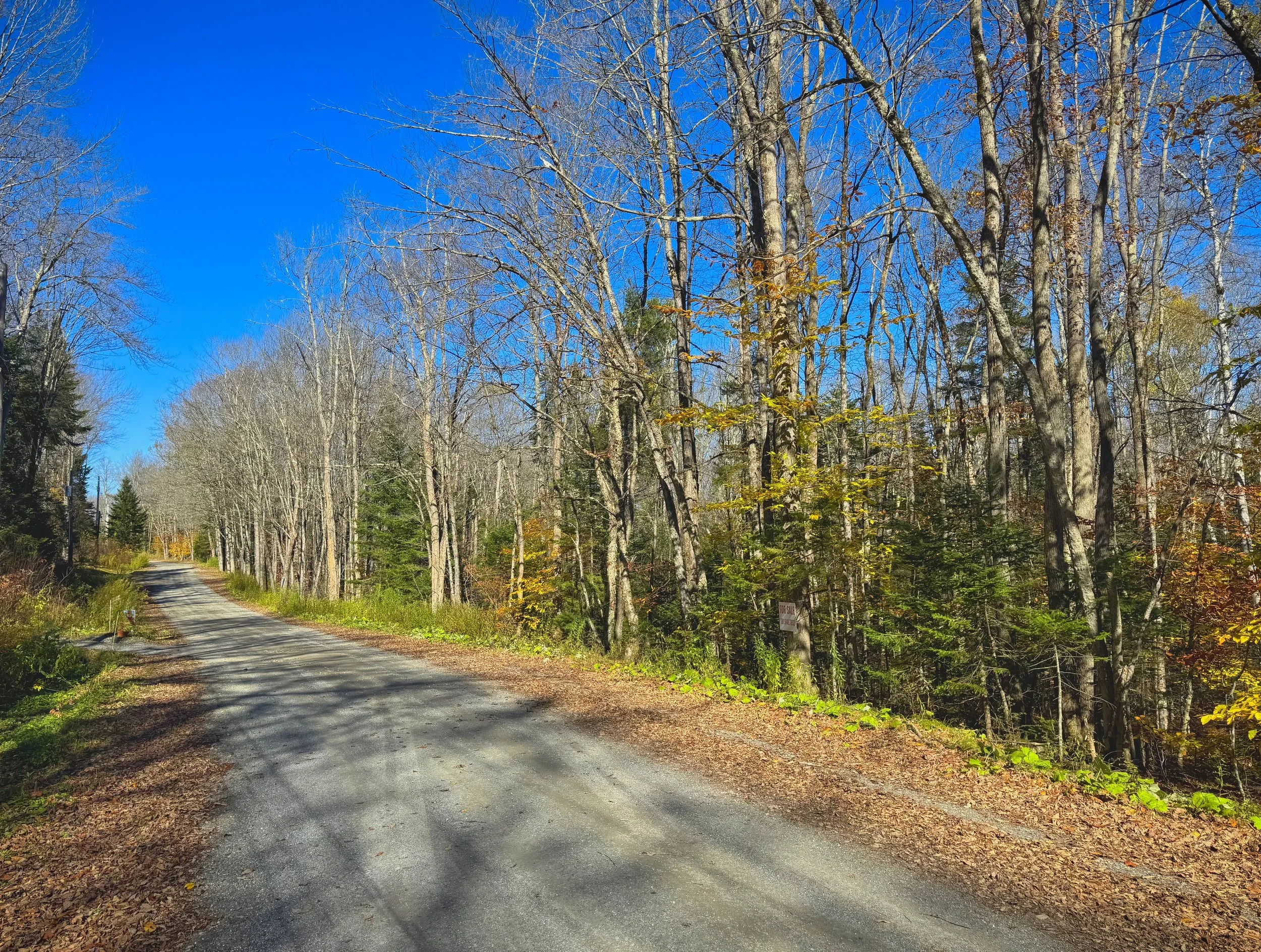 Still 2025-10-16 171913_1.8.2.jpeg