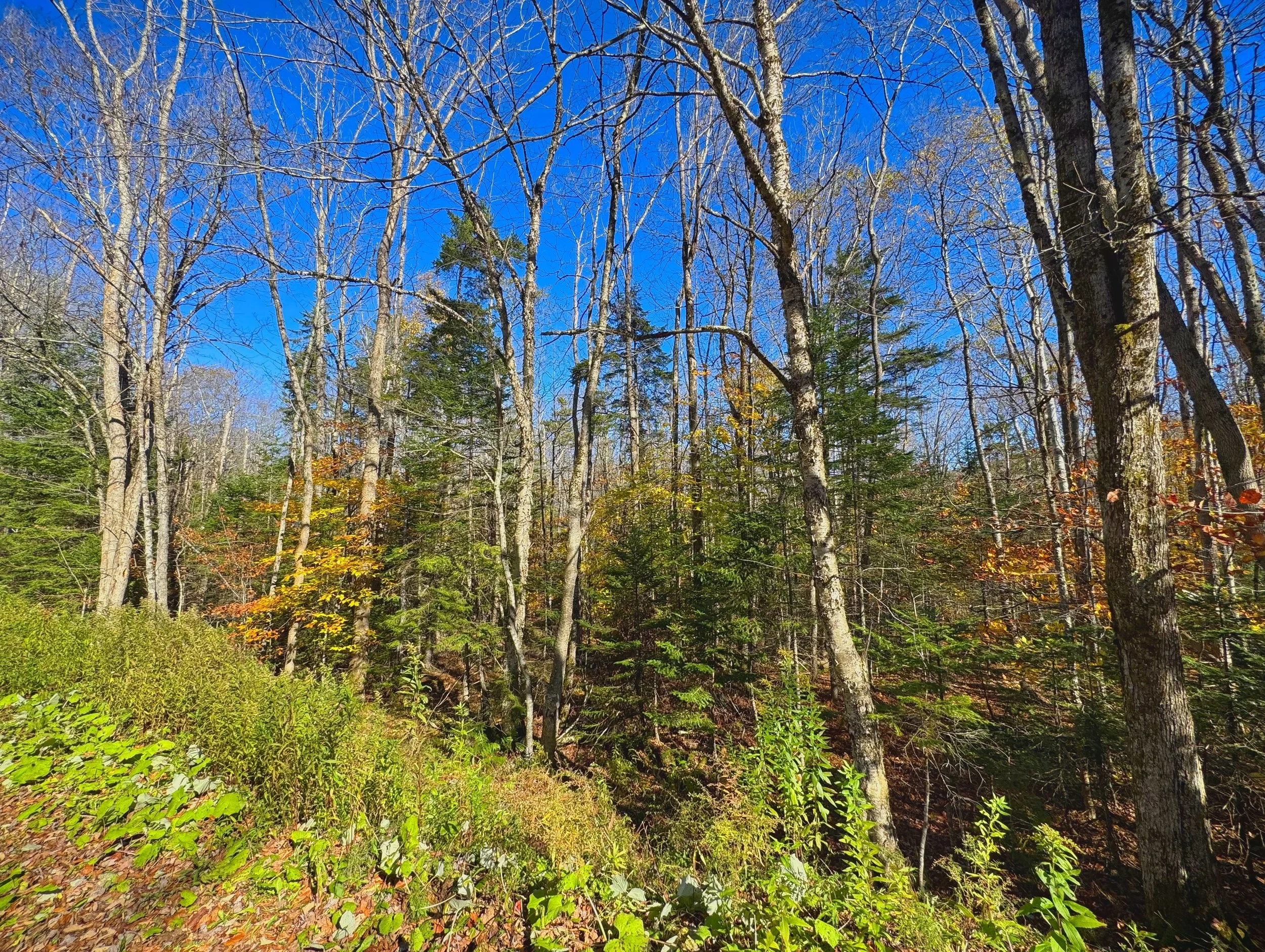 Still 2025-10-16 171913_1.10.2.jpeg