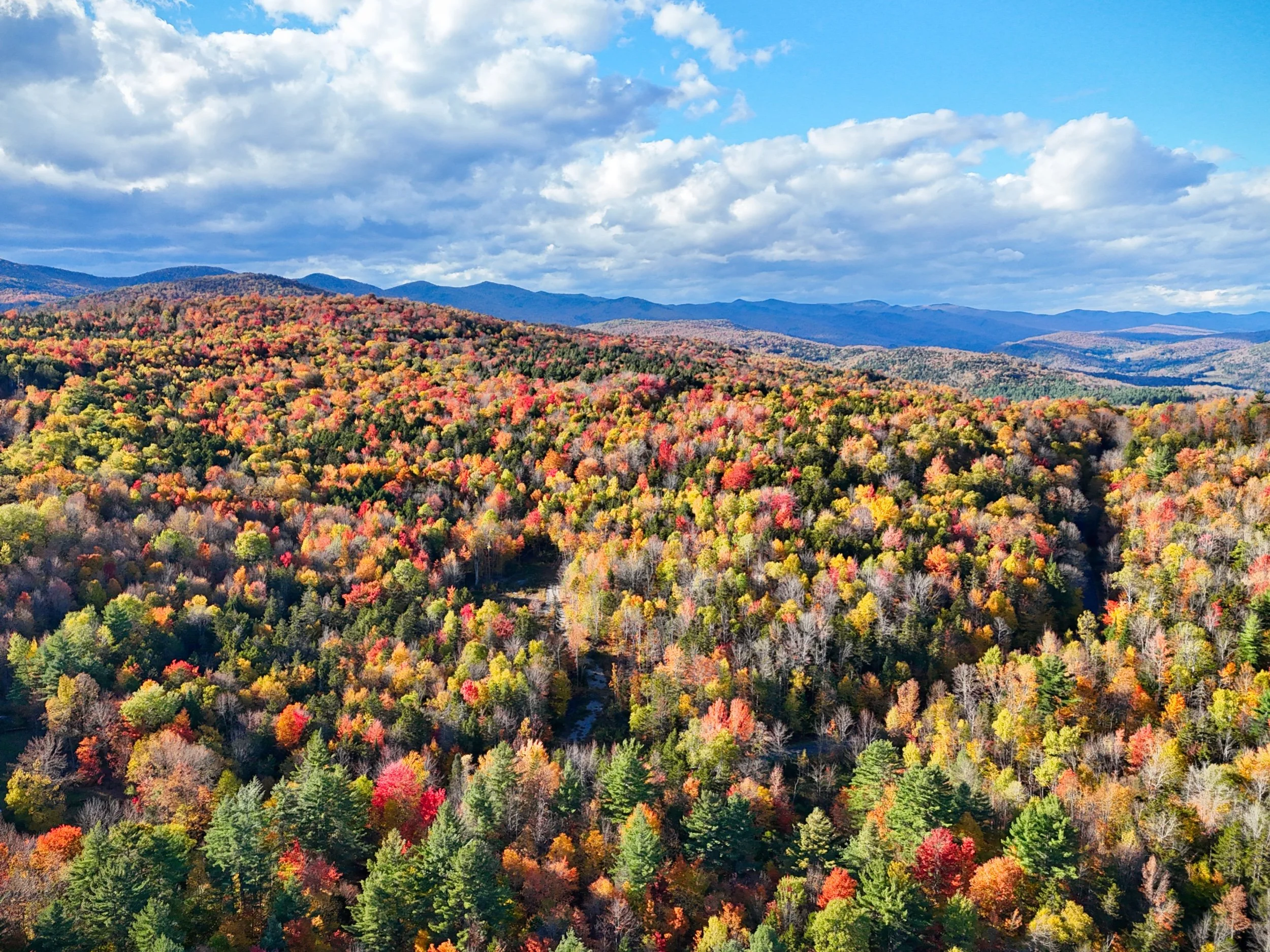 Macintosh Hill Road - Bethel, VT