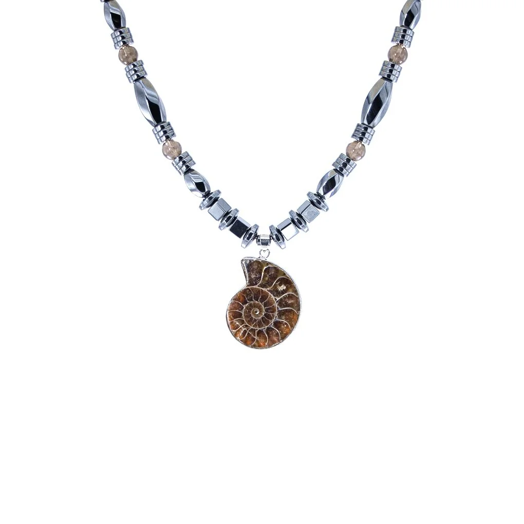 The Ammonite