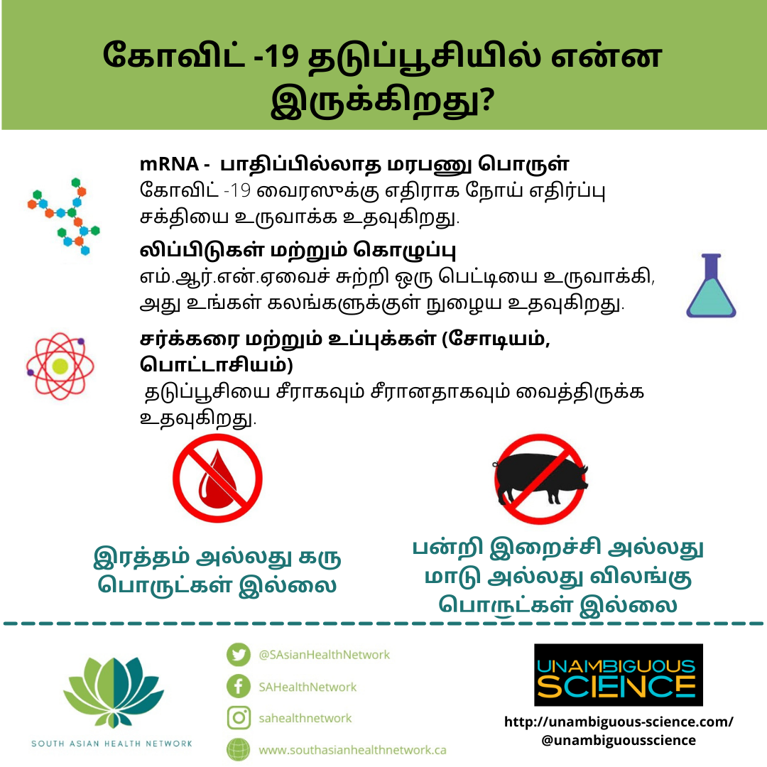 Vaccine ingredients Tamil.PNG