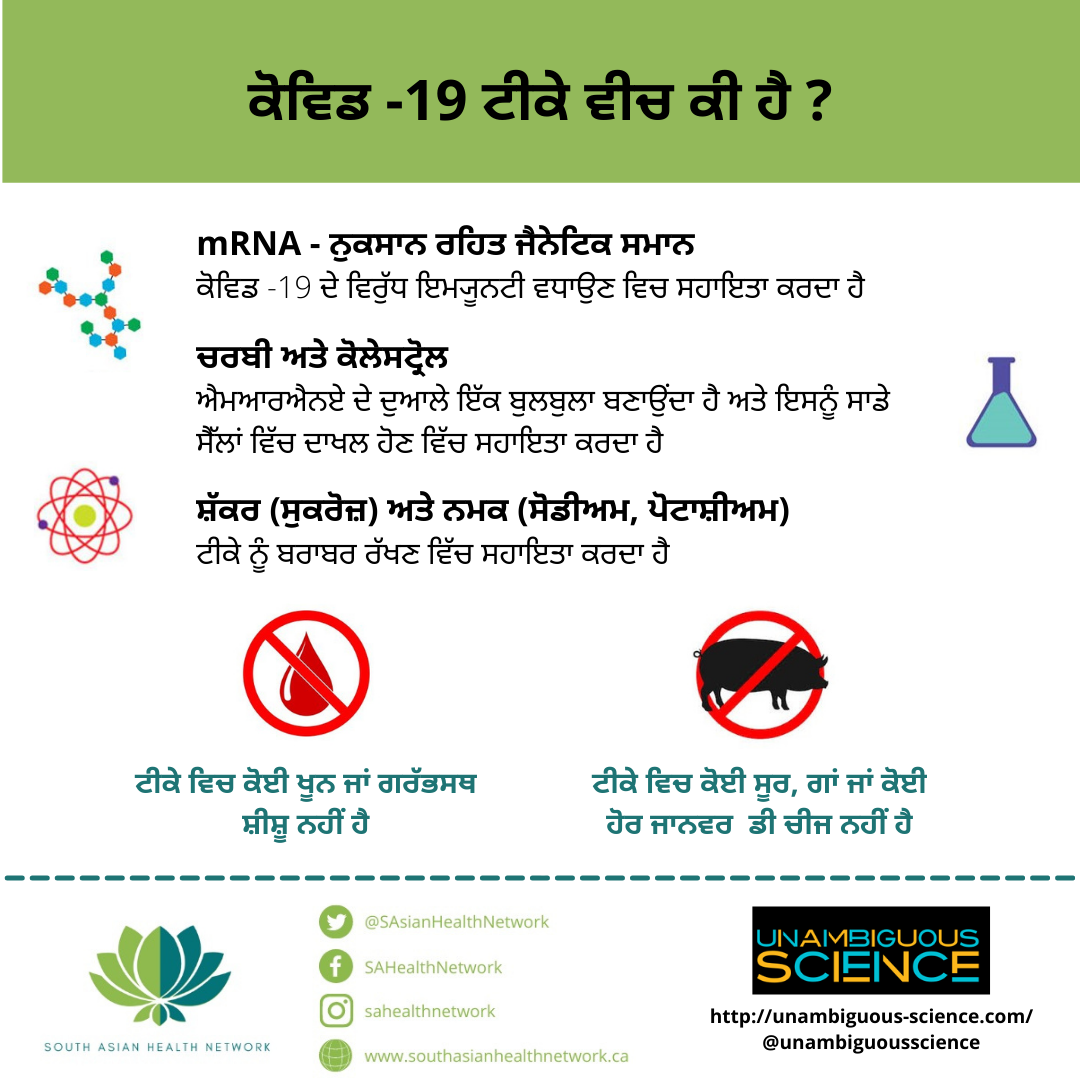 Vaccine ingredients Punjabi .PNG