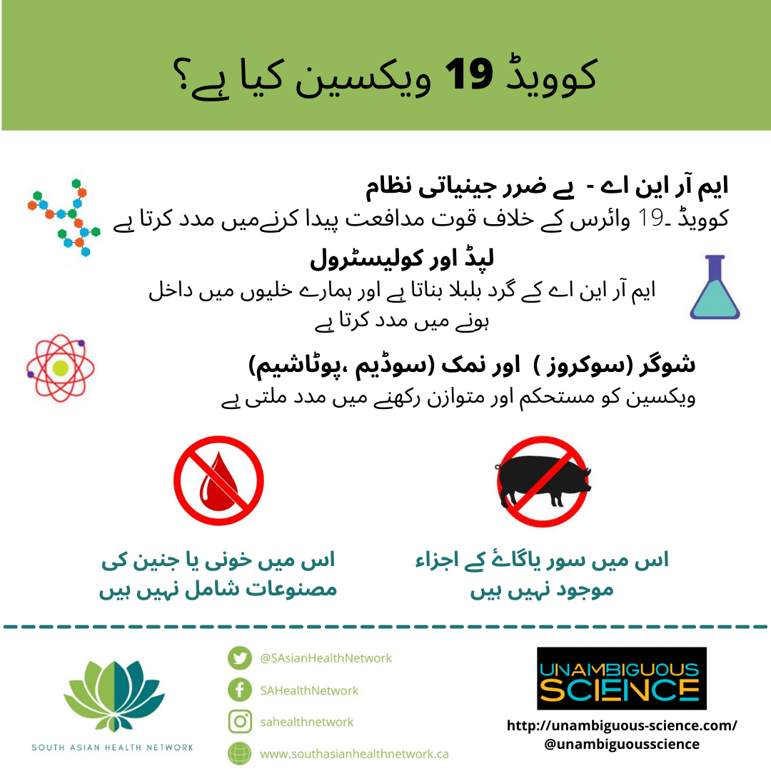 Vaccine ingredients Urdu .PNG