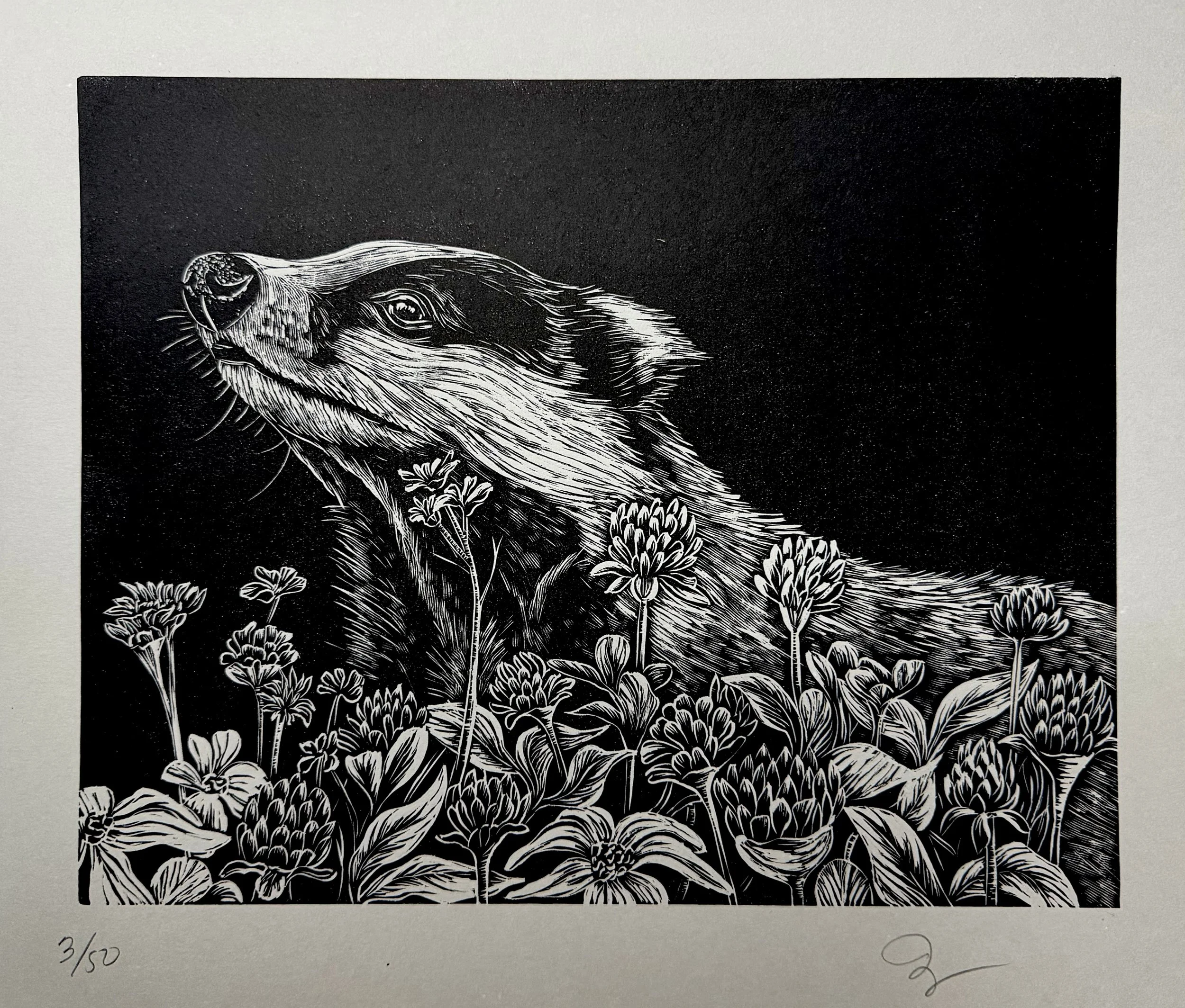 Badger