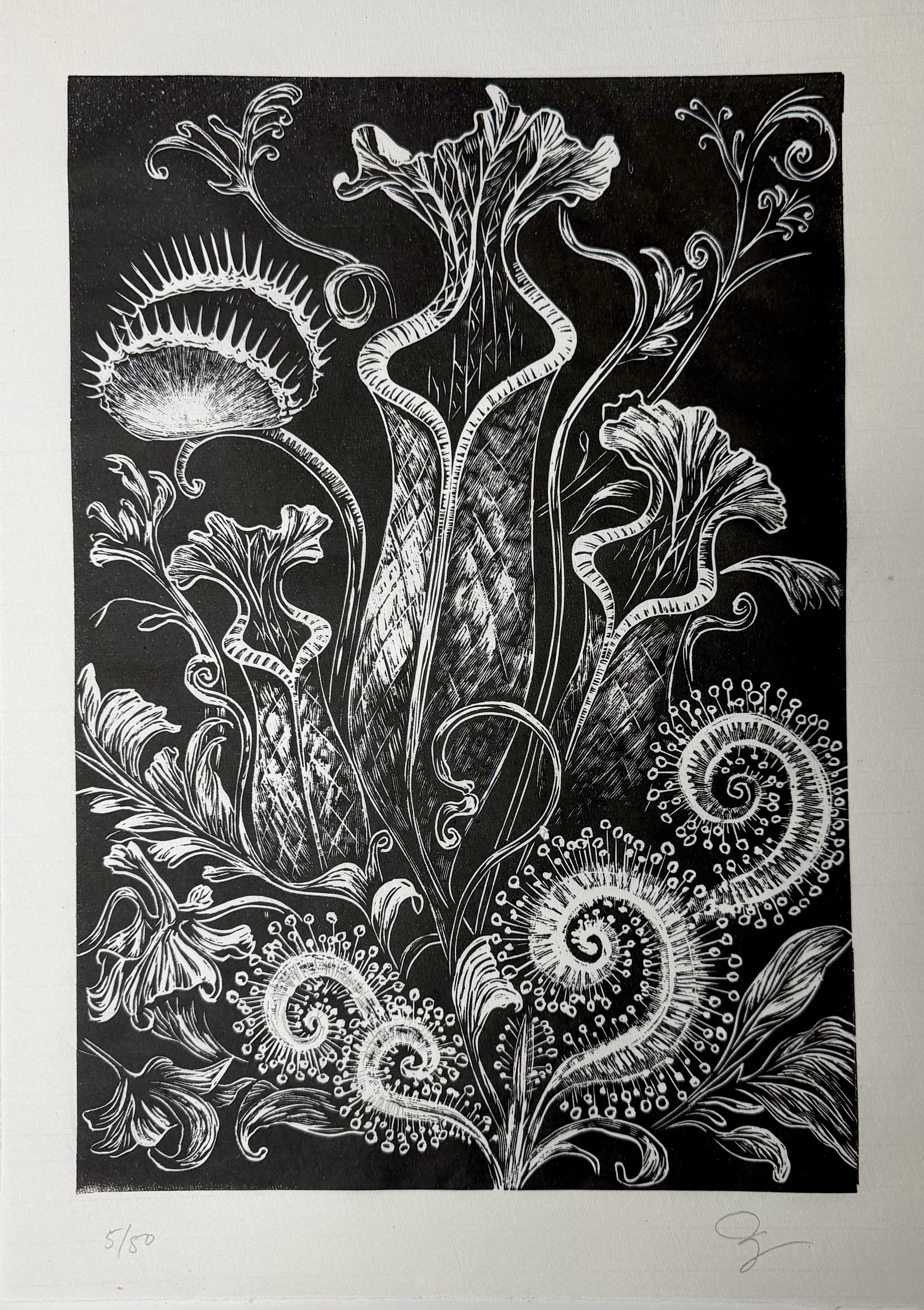 Carnivorous Linocut