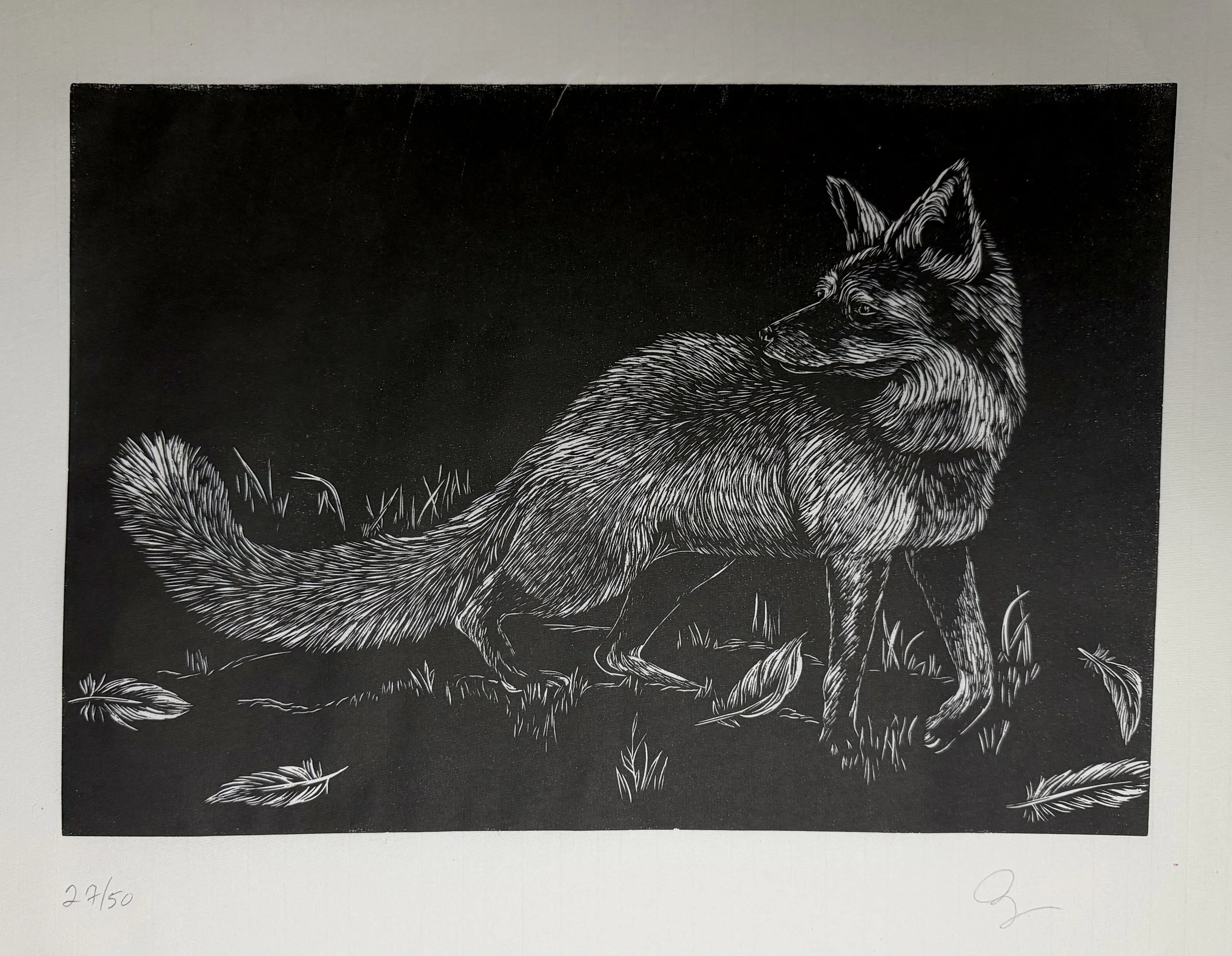 Fox