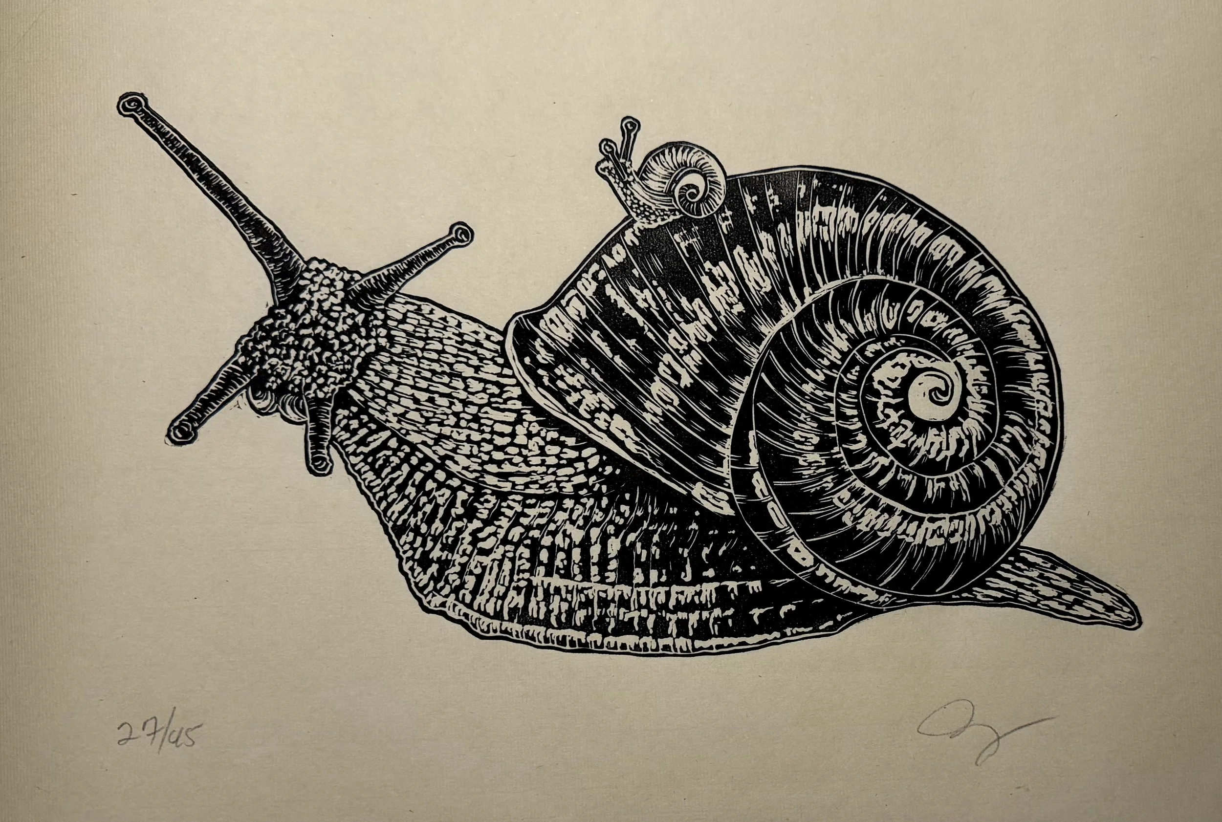 Snail(s)