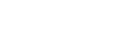 MISS LONE STAR