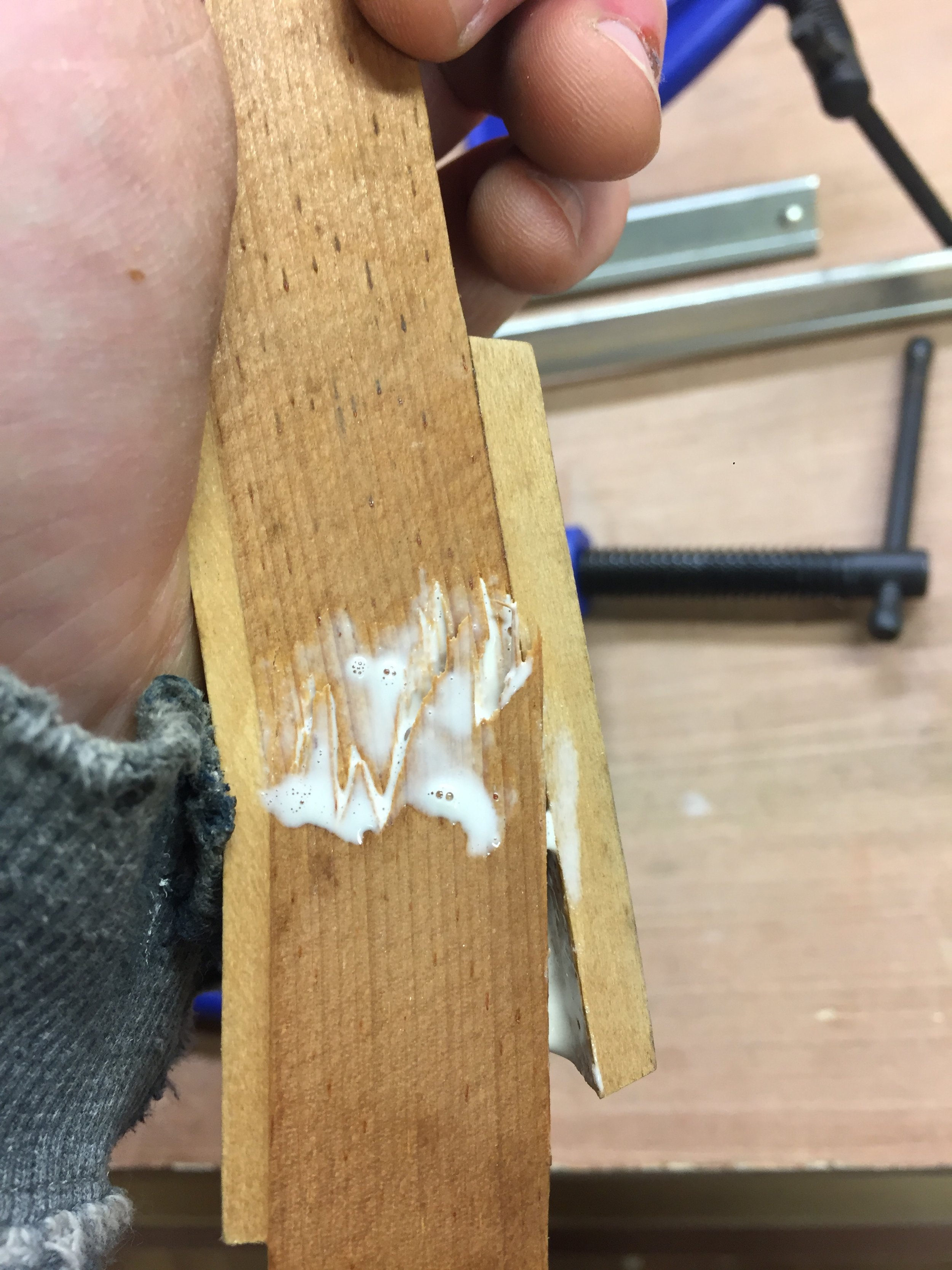 C250693F-42DD-4A18-AFF5-F3E4D4002277.jpeg