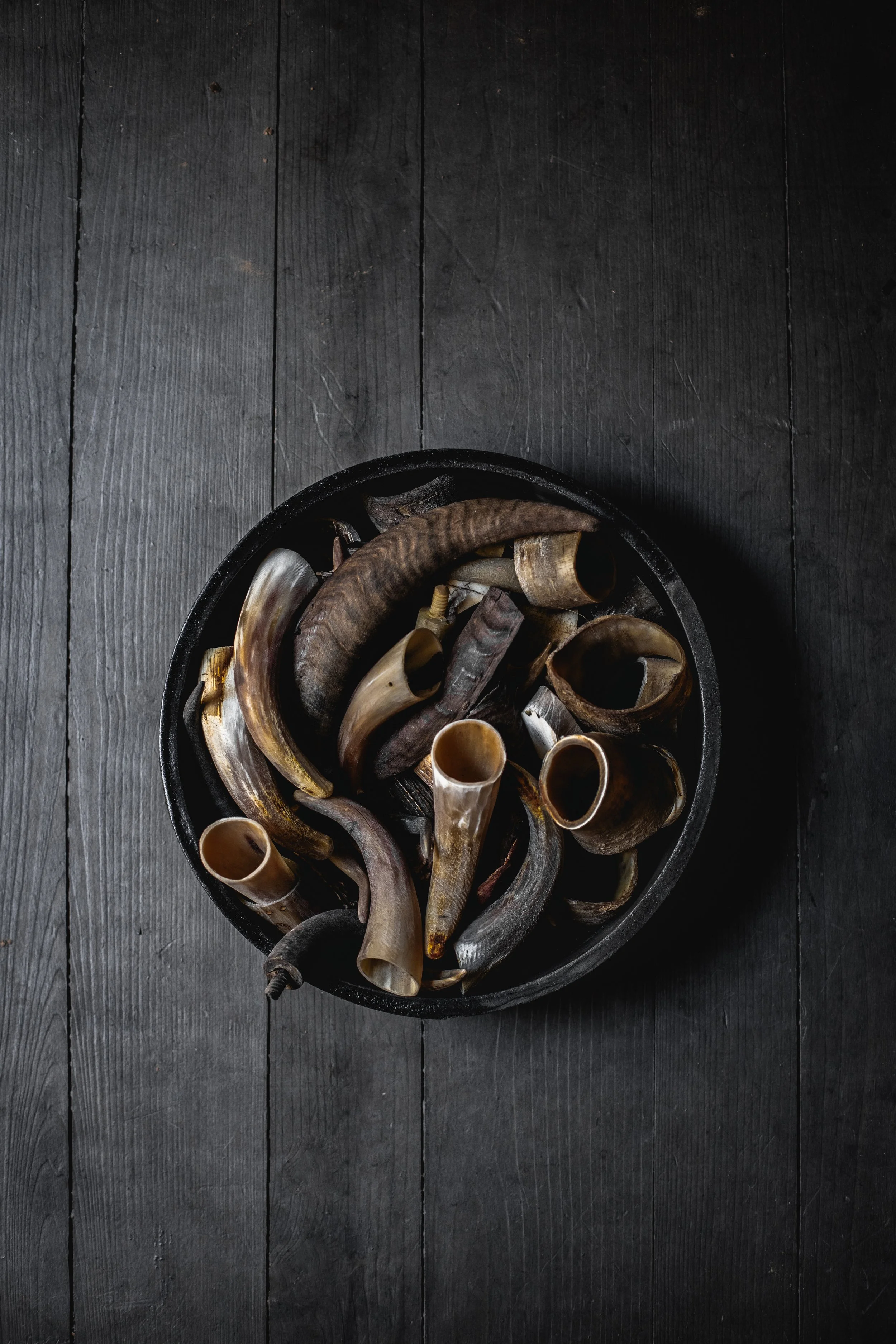 A black bowl filled with various dried horn and tusk fragments on a dark wooden table.