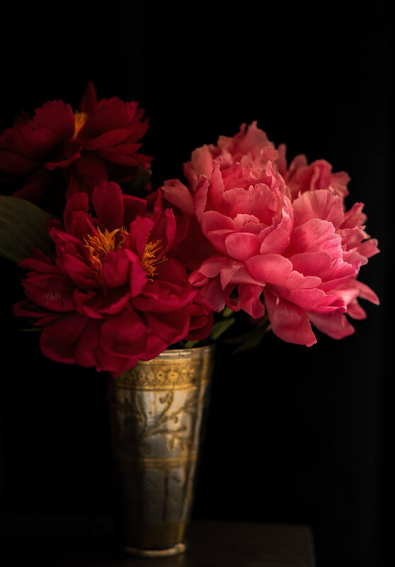 Peonies.jpg